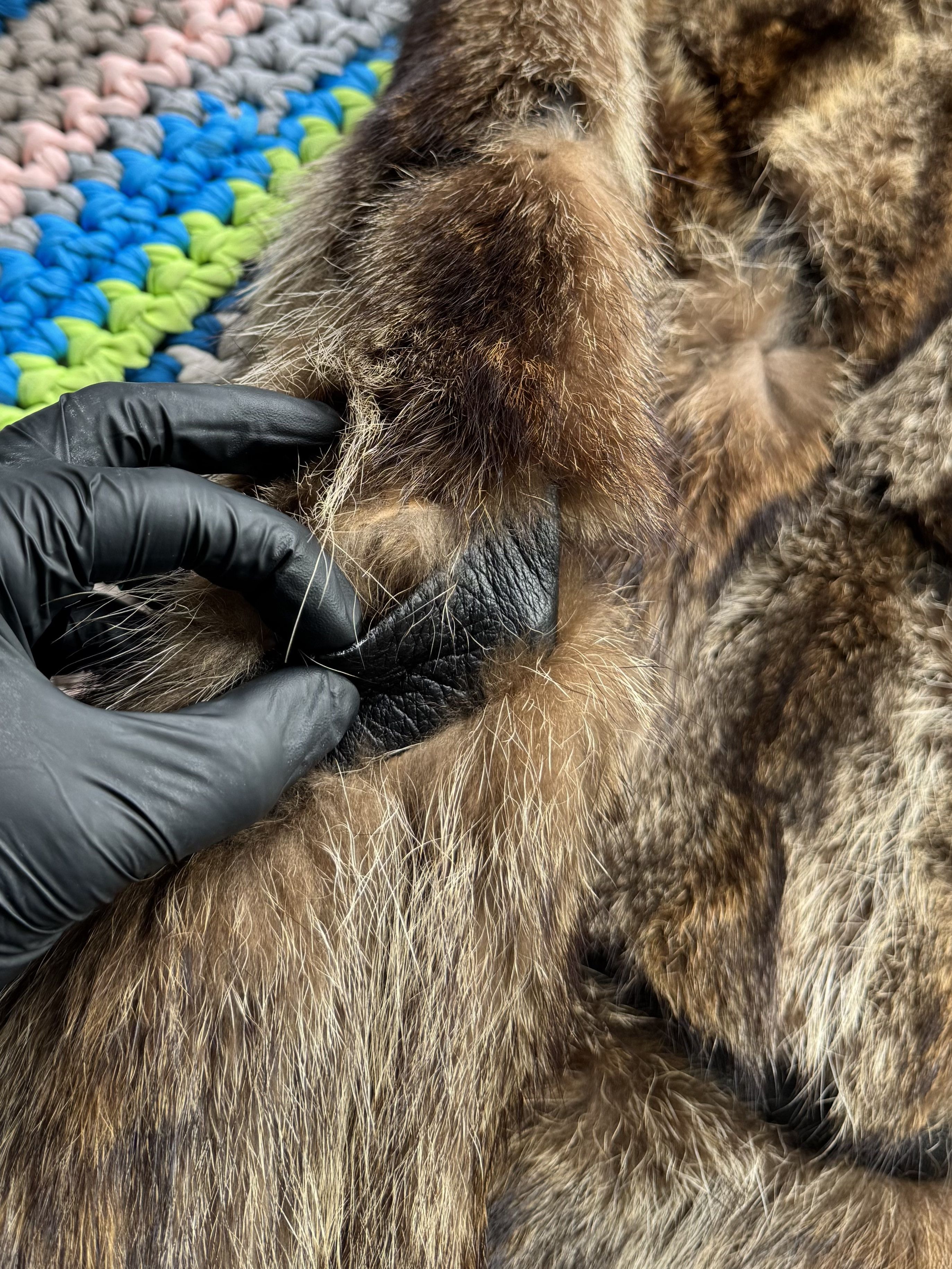 Japanese Brand Vintage Real Fur/Leather Coat (D15) Size M / US 6-8 / IT 42-44 - 8 Thumbnail