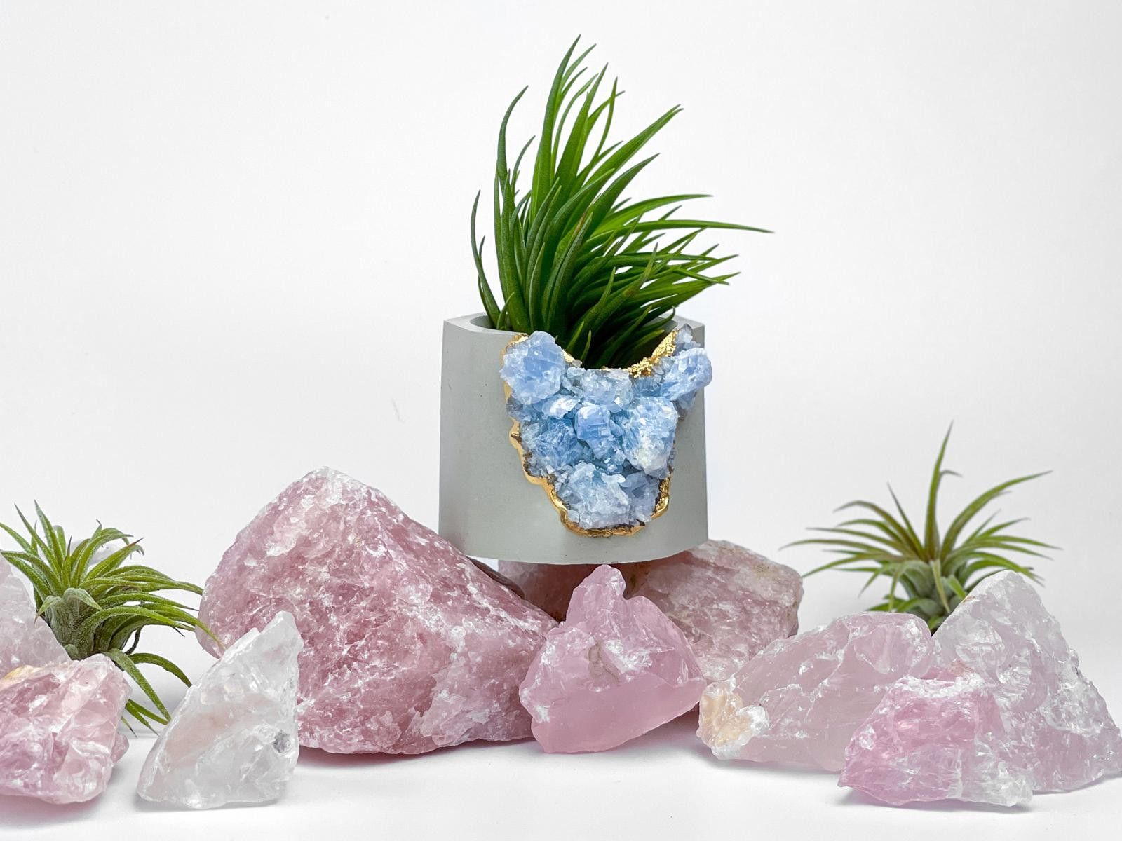 Other Succulent Crystal Planter | Geode Planter | Raw Blue Calcite Size ONE SIZE - 8 Thumbnail