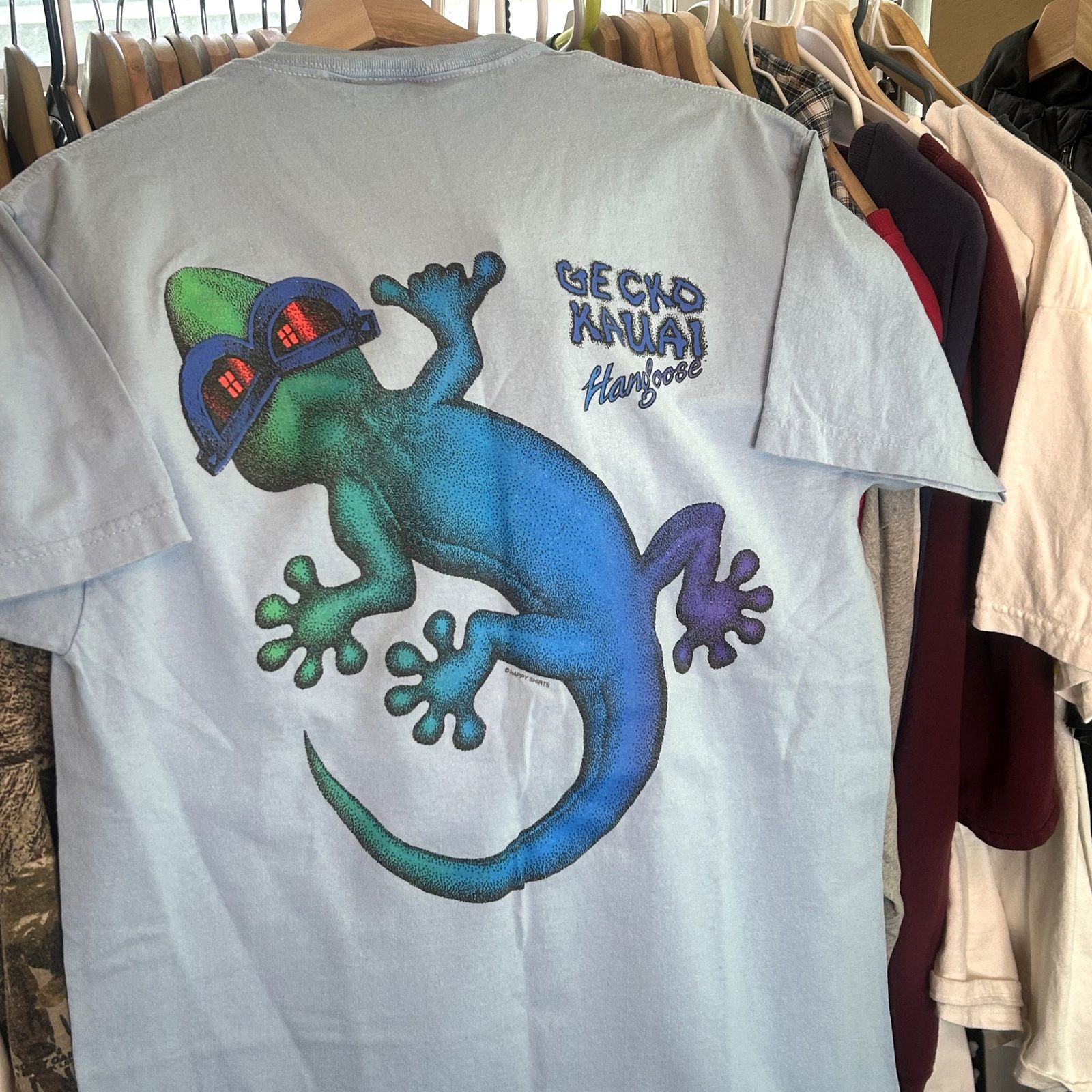 Hanes Y2K Gecko Kauai Lizard T-Shirt Medium Size US M / EU 48-50 / 2 - 2 Thumbnail