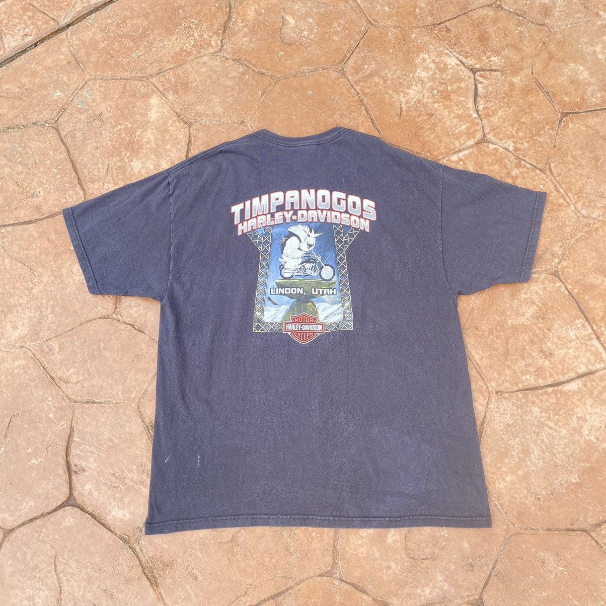 Harley Davidson Thrashed Faded Vintage Y2K Harley Davison Skull ERD GRUNGE T Size US XXL / EU 58 / 5 - 2 Thumbnail