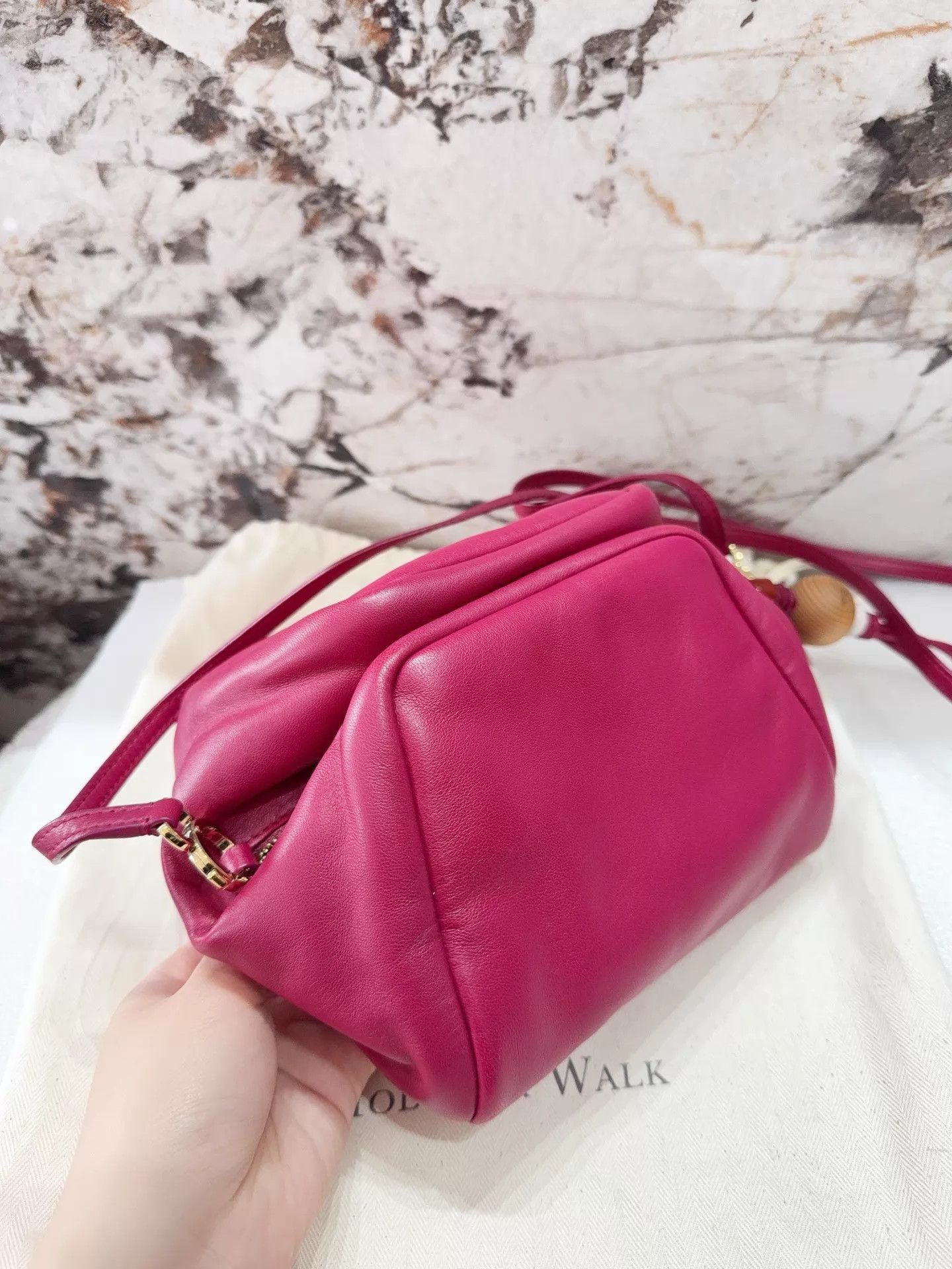 Loro Piana Loro Piana Cloud Puff Bag Sheepskin Size ONE SIZE - 2 Thumbnail
