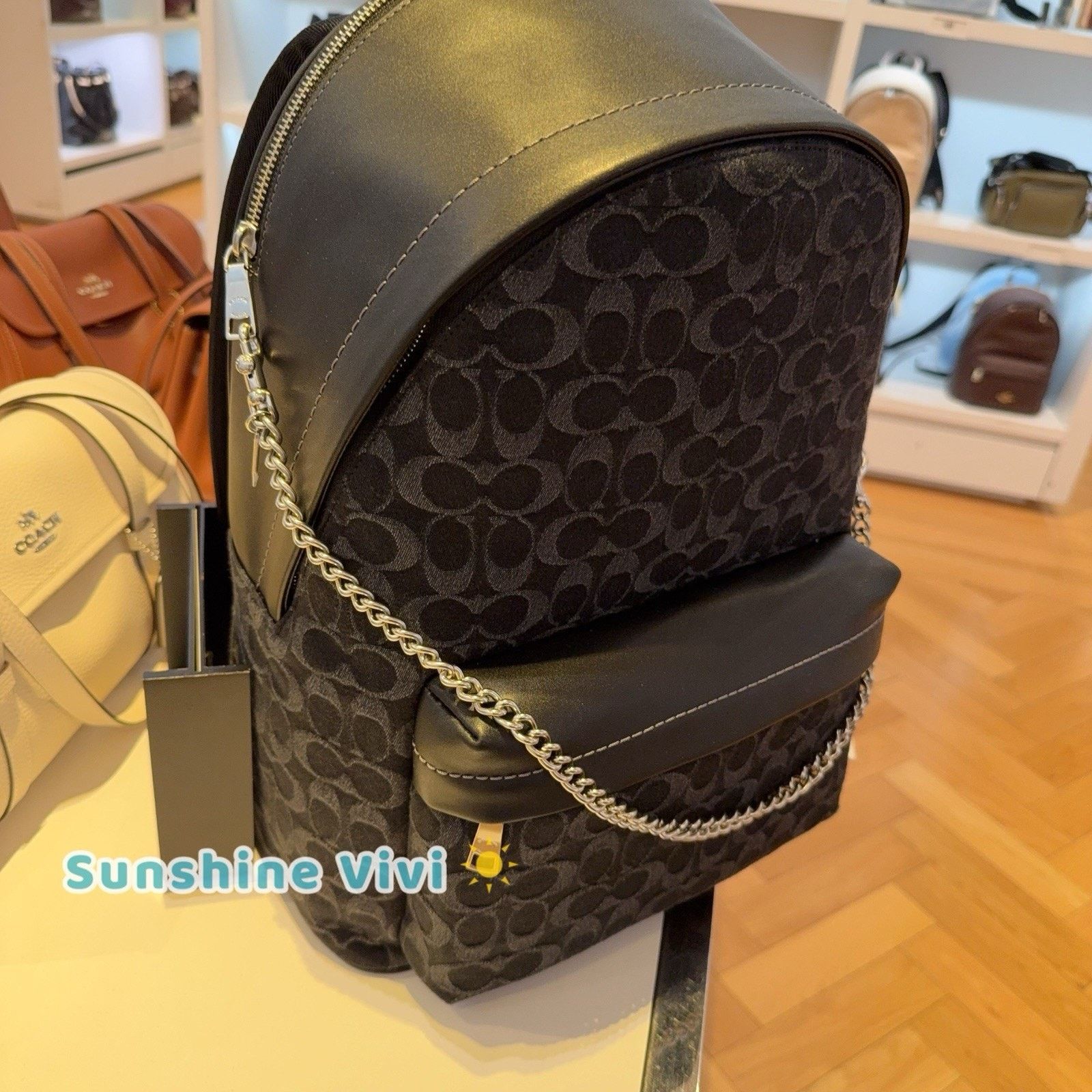 Coach NWT Bundle Coach Taylor Backpack CDC49 & CR466 Chain Strap Size ONE SIZE - 7 Thumbnail