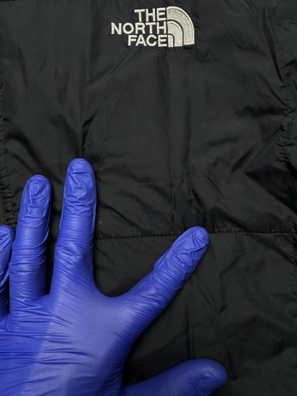 The North Face The North Face Technical Softshell Jacket Blue / Gorpcore Size US L / EU 52-54 / 3 - 5 Thumbnail