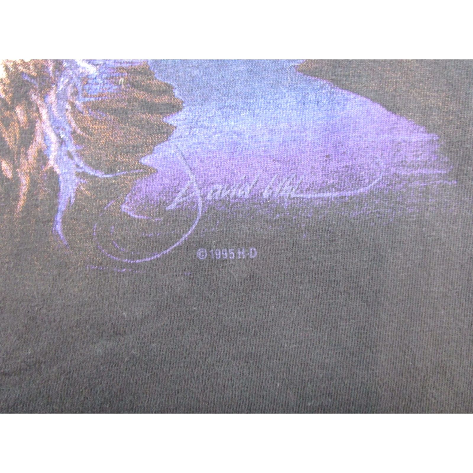 Harley Davidson VINTAGE Harley-Davidson Wolf Eagle 1995 Double Sided Shirt Mens 2XL Black Cotton T-Shirt 90s Animals Biker Mens Size US XXL / EU 58 / 5 - 3 Thumbnail