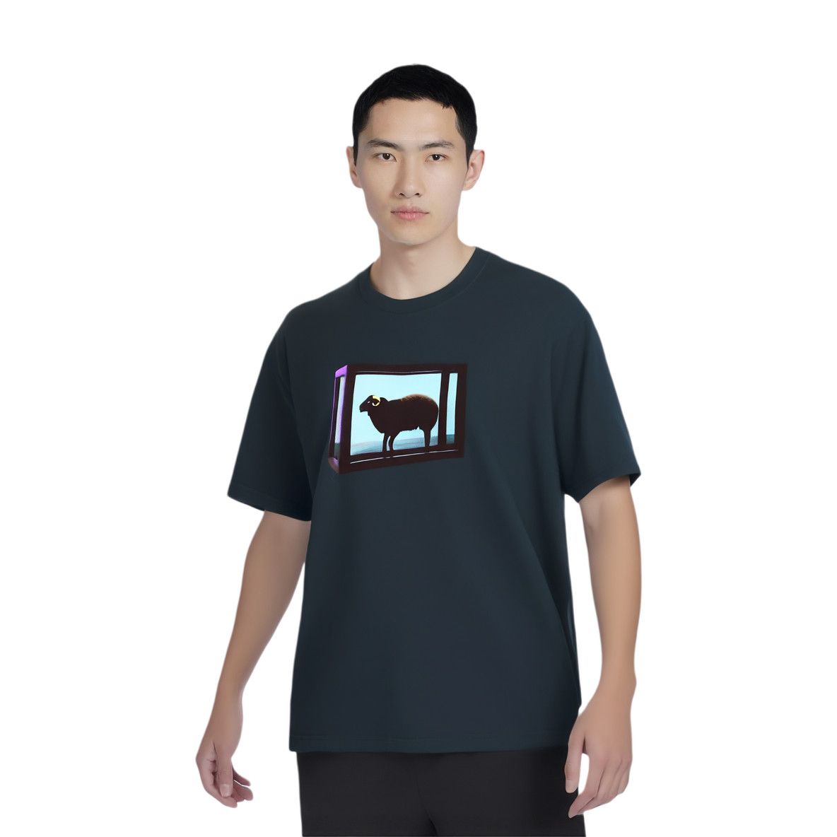 【XLサイズ】 Supreme Damien Hirst Tee ブラック Damien Hirst × Supreme Supreme/Damien Hirst Black Sheep Tee “Black