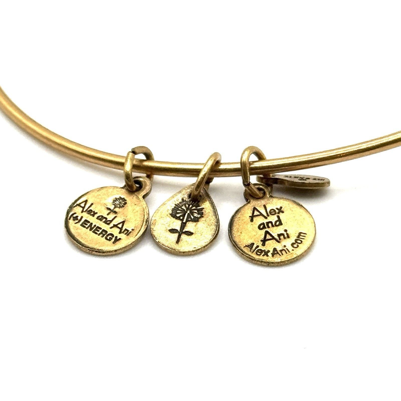 Other ALEX AND ANI Path of Life Charm Bracelet in Rafaelian Gold Size ONE SIZE - 2 Thumbnail