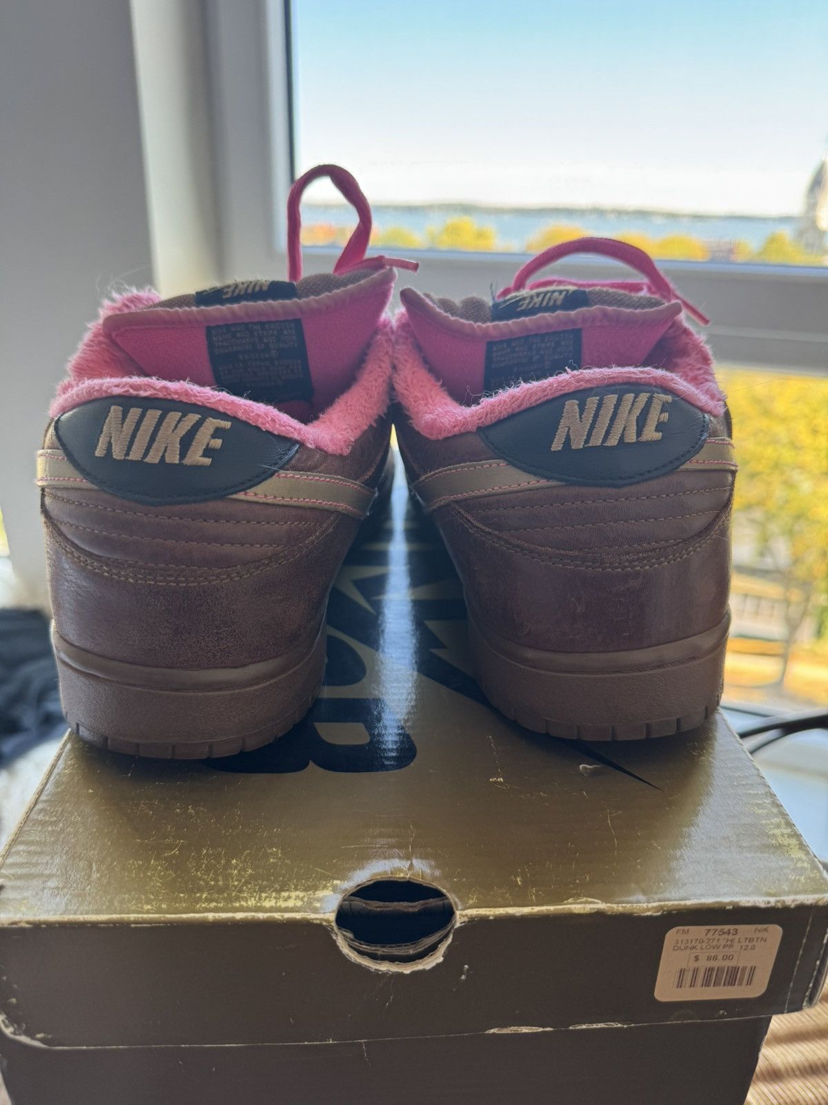 Nike SB Nike SB Dunk Low ‘Gibson Guitar Case’ 2007 Size US 12 / EU 45 - 4 Thumbnail
