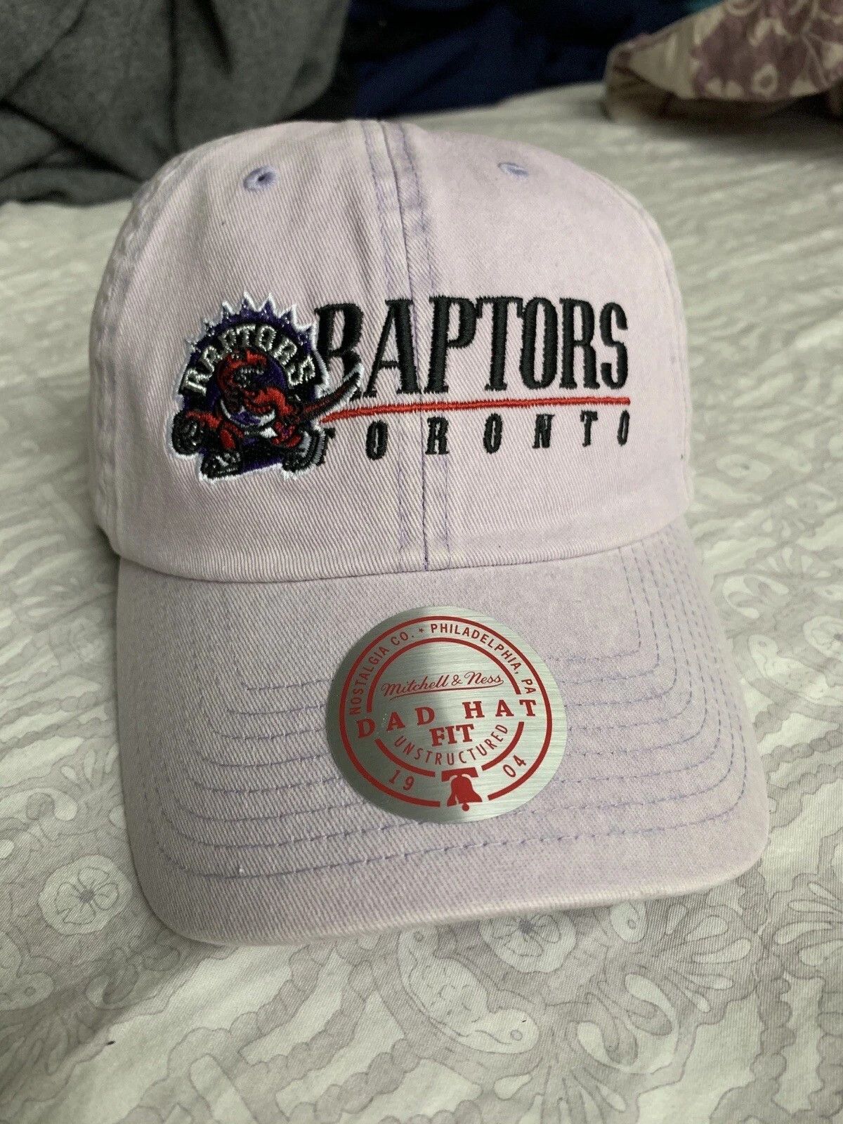 Mitchell & Ness Toronto Raptors Vintage Championship Hat