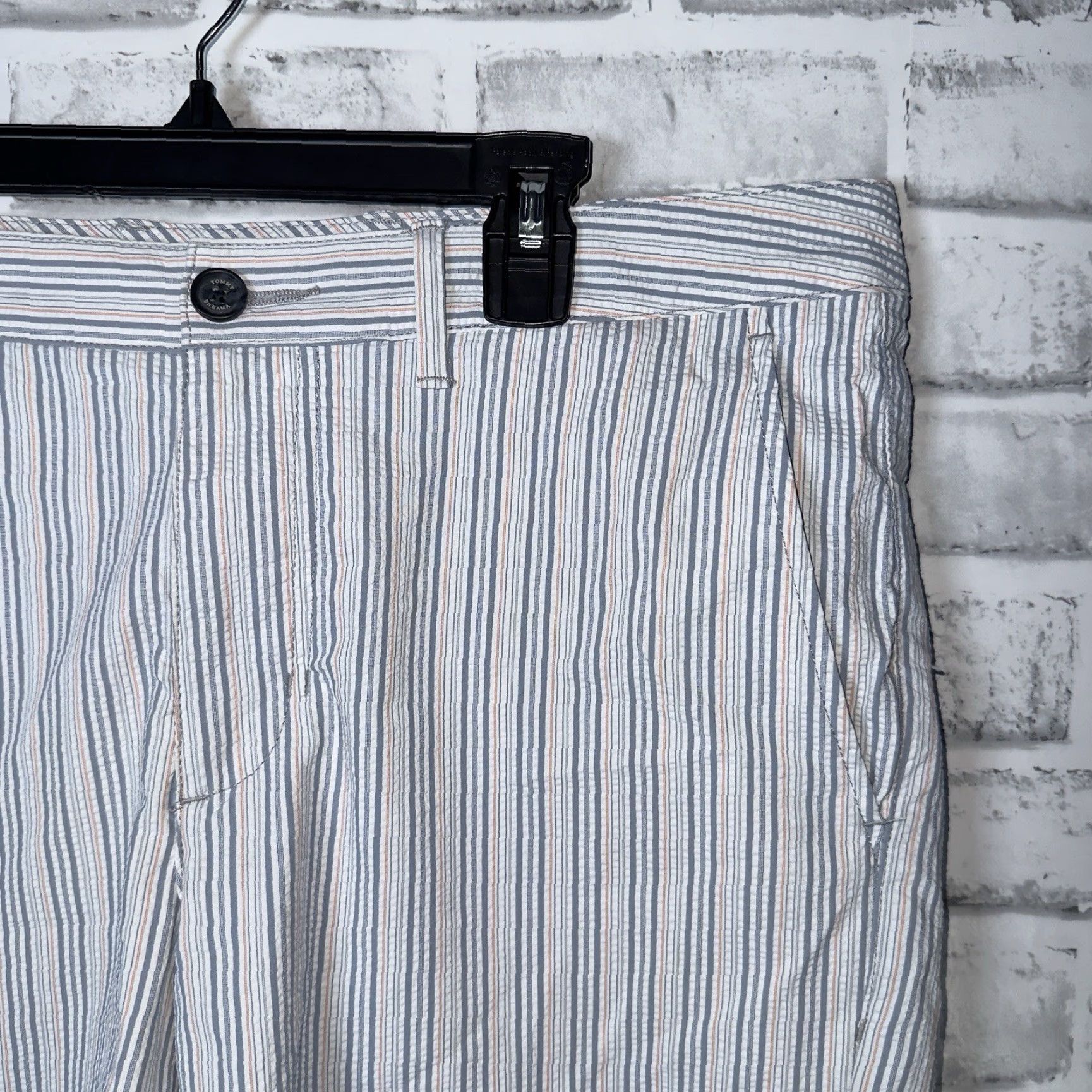 Tommy Bahama Tommy Bahama Striped Nylon Blend Shorts Mens Size 32 Size US 32 / EU 48 - 2 Thumbnail