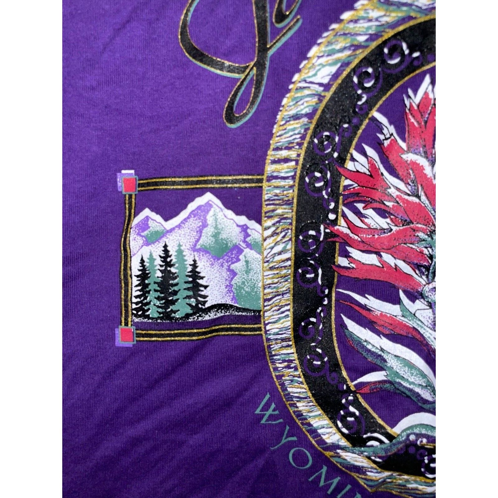 Jerzees Vintage Jackson Hole Shirt Wyoming Wildflowers 90s Tee VTG L Size US L / EU 52-54 / 3 - 4 Thumbnail