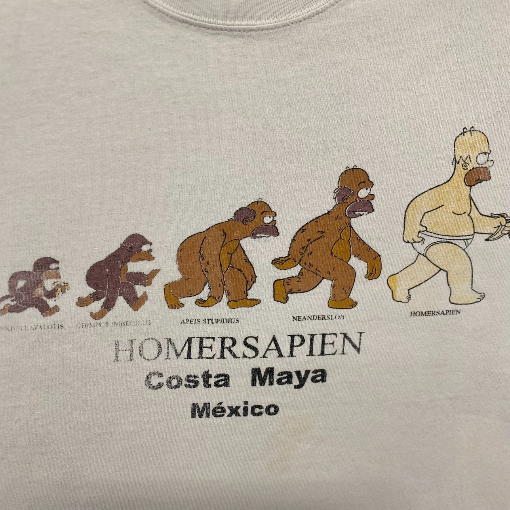 The Simpsons Vintage Y2K Homer Simpsons Evolution Cartoon Humor Tee Size US S / EU 44-46 / 1 - 3 Thumbnail