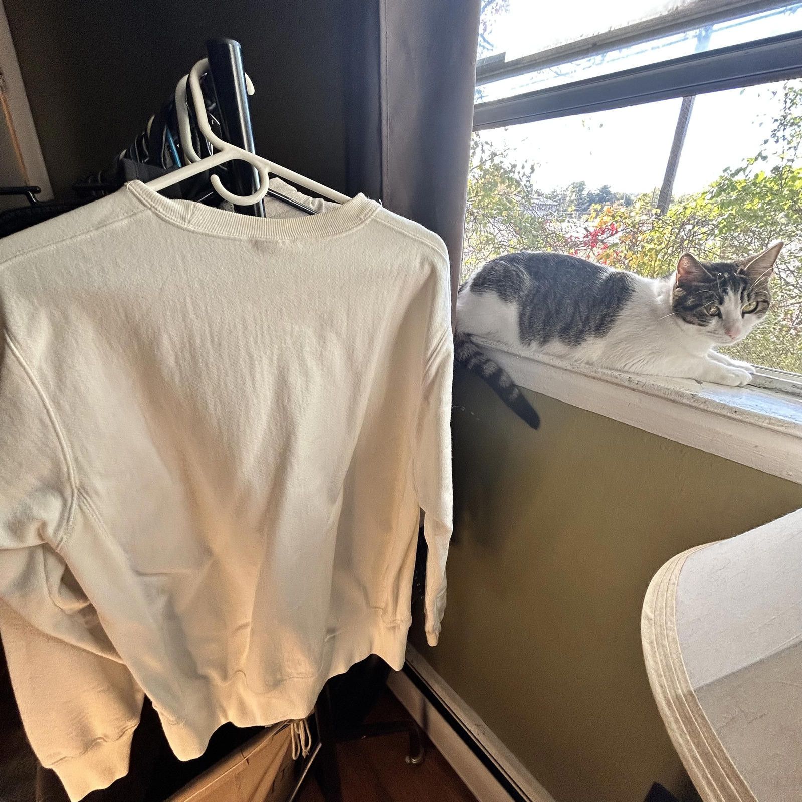 Champion Champion Reverse Weave Medium White Sweatshirt-Cozy Classic! Size US M / EU 48-50 / 2 - 3 Thumbnail