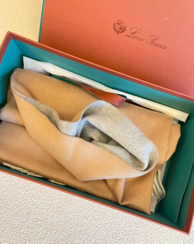 Loro Piana LORO PIANA Baby cashmere goat velvet scarf Size ONE SIZE - 2 Thumbnail