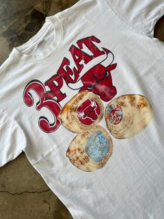 Vintage Lee Sport Chicago Bulls NBA graphic T-Shirt Men XXL Sleeveless