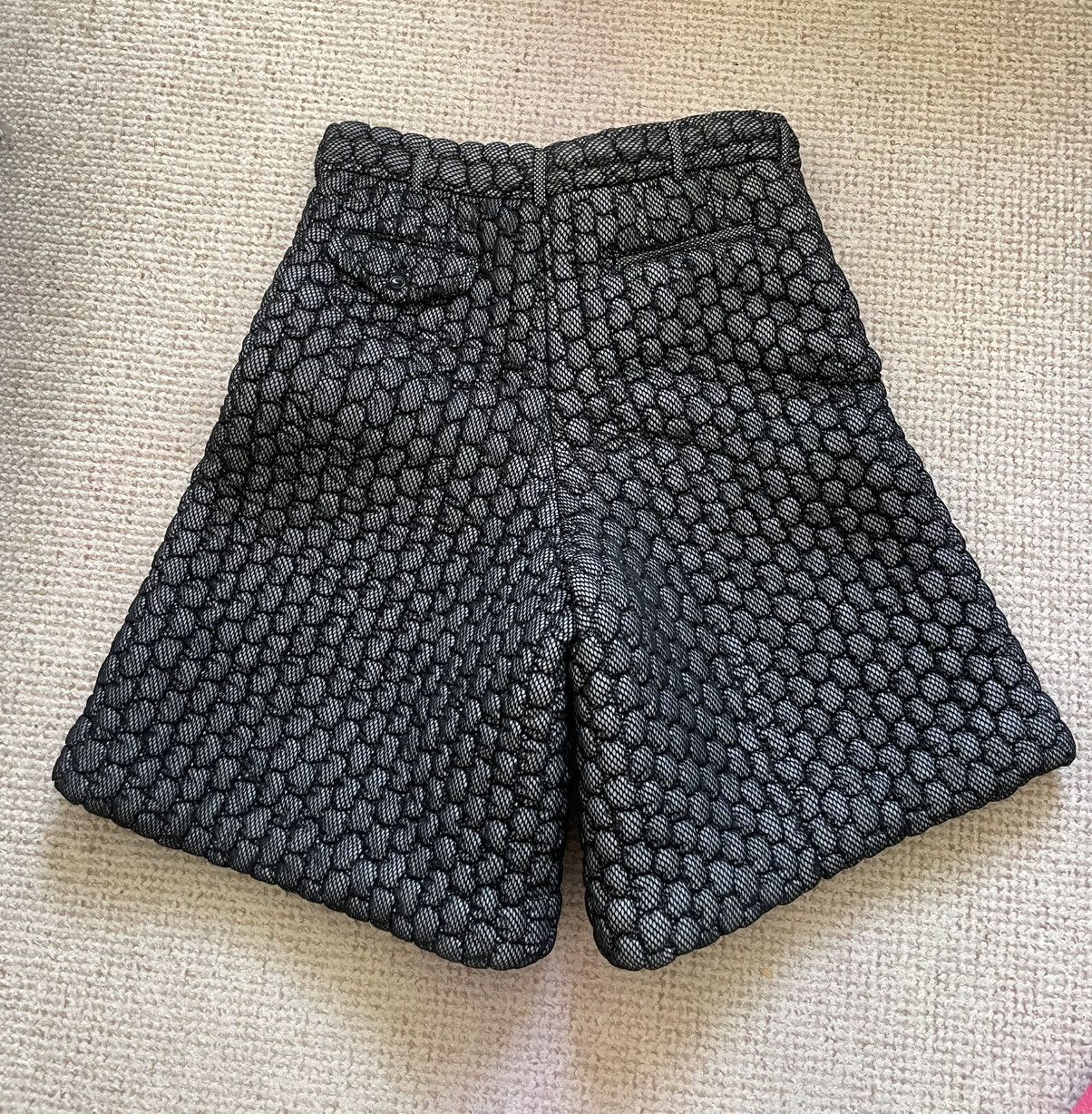 Comme des Garcons Comme des Garçons Homme Plus FW22 shorts. Size US 36 / EU 52 - 2 Thumbnail
