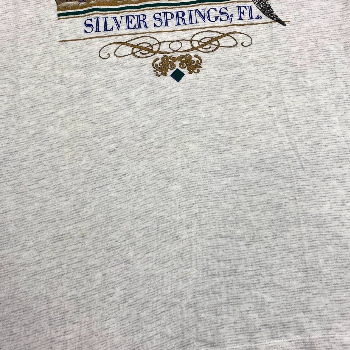Vintage VINTAGE 90’s Silver Springs Alligator Souvenir Graphic Grey T-Shirt M L Shirt Mens Grey 90s Souvenir Spellout Graphic Size US L / EU 52-54 / 3 - 7 Thumbnail