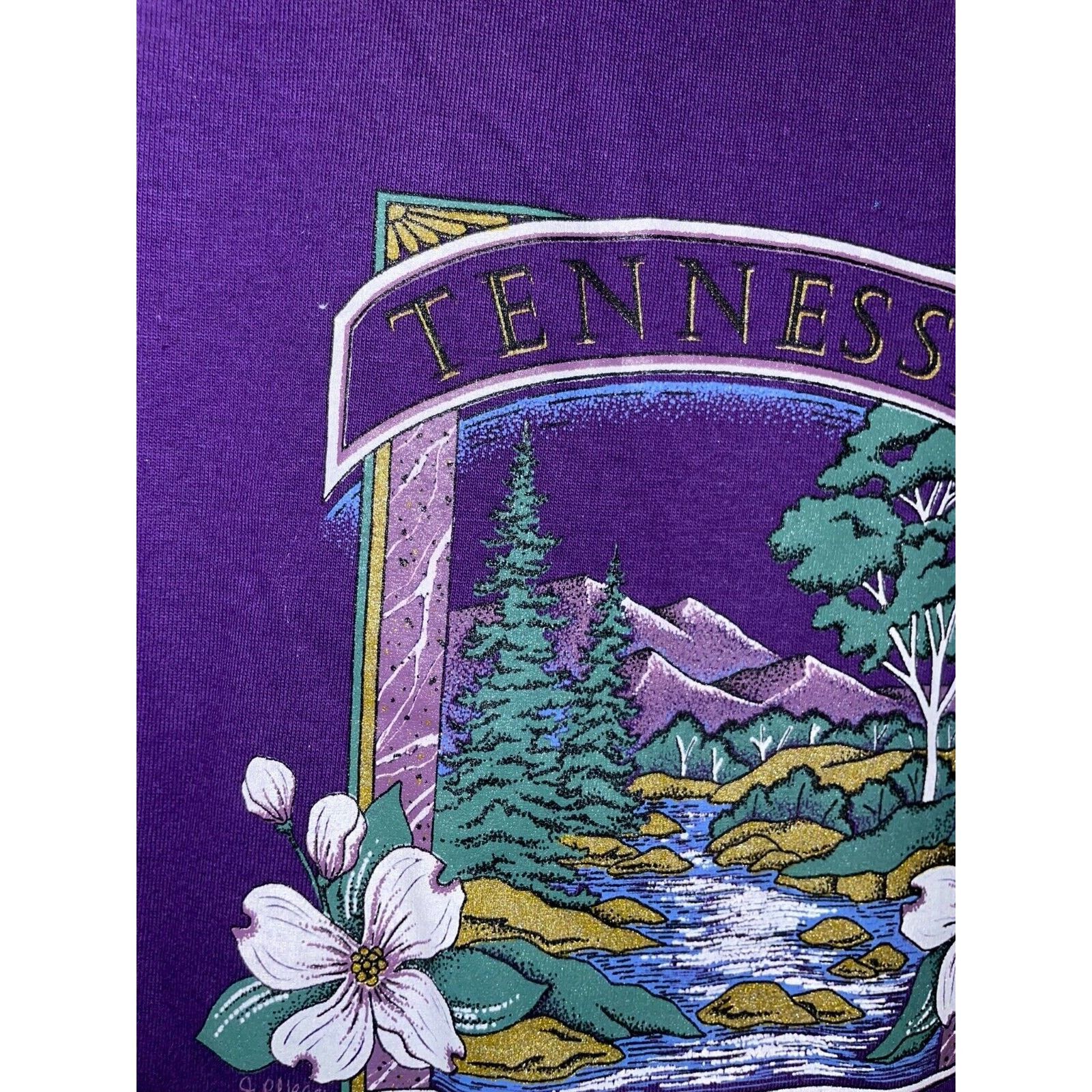 Jerzees Vintage Gatlinburg Tennessee Shirt Mountain Tee VTG 90s L Size US L / EU 52-54 / 3 - 6 Thumbnail