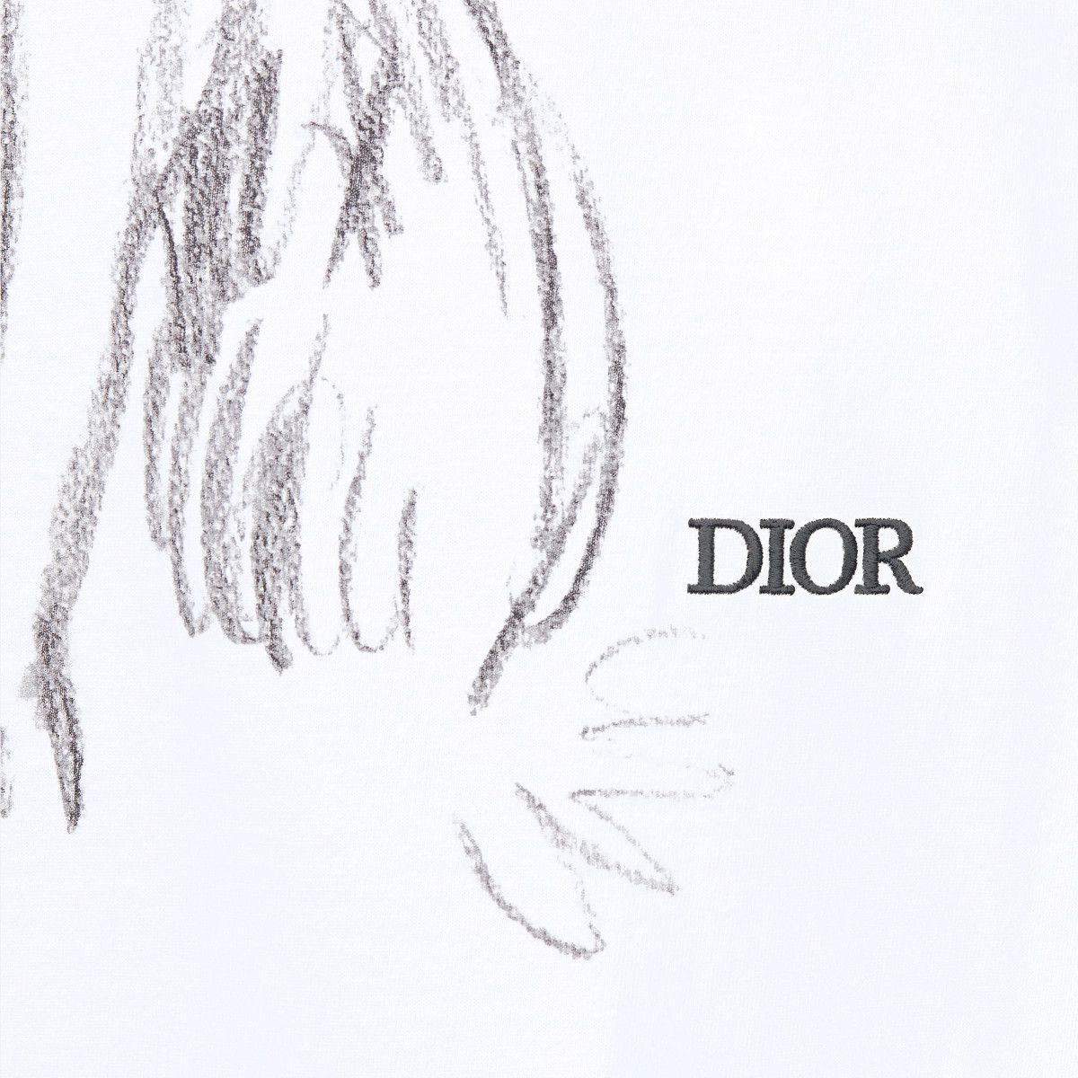 Dior o1bcso1str1224 Oversized T-Shirt in White Size US L / EU 52-54 / 3 - 3 Thumbnail