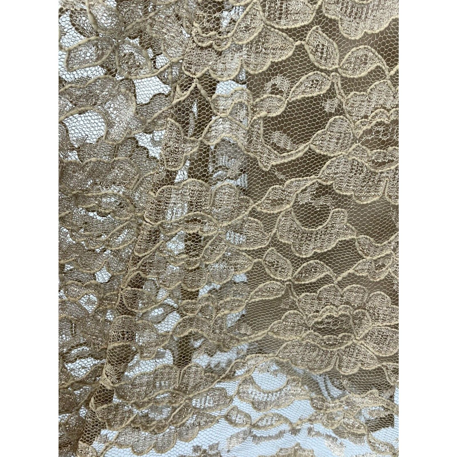 Laura Ashley VINTAGE Laura Ashley Skirt Petite 14P Tan Lace Overlay Knee Length Aline Floral Zip Feminine Romantic Pants? Size 36" / US 14 / IT 50 - 3 Thumbnail