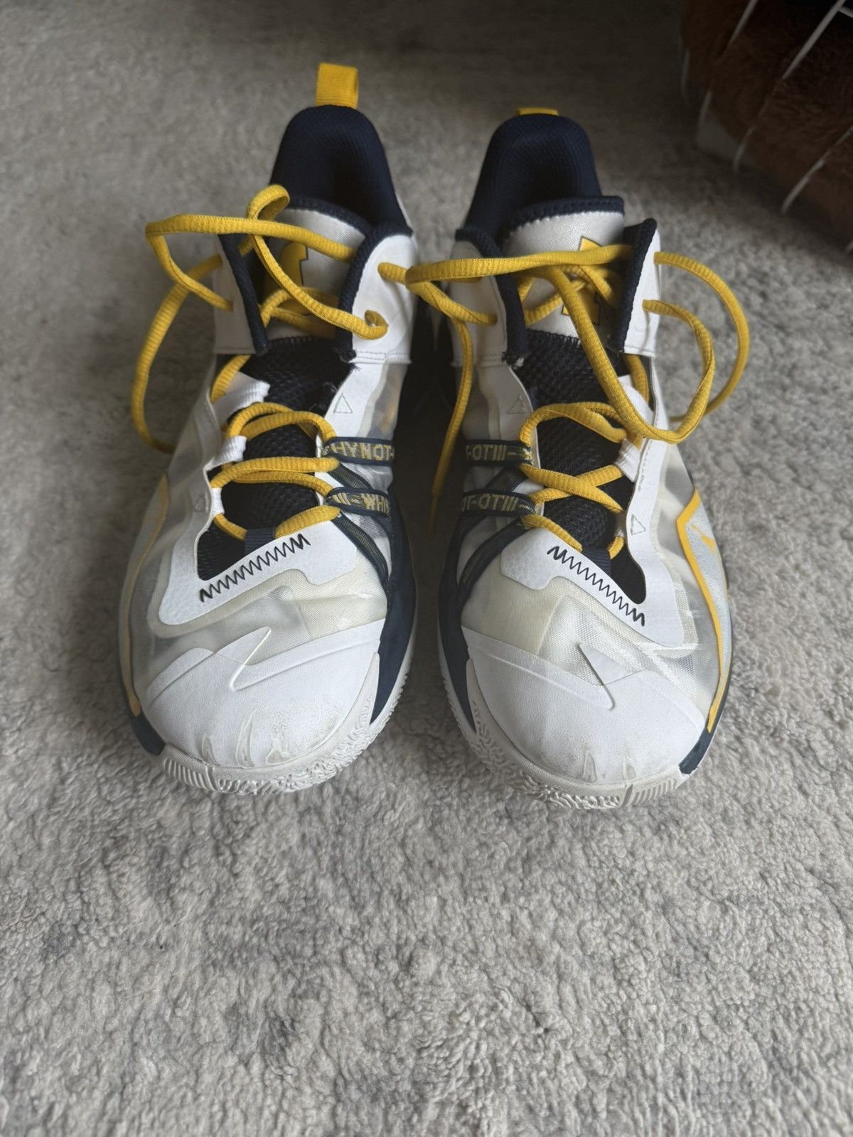 Jordan Brand Michigan PE’s Size US 8 / EU 41 - 3 Thumbnail