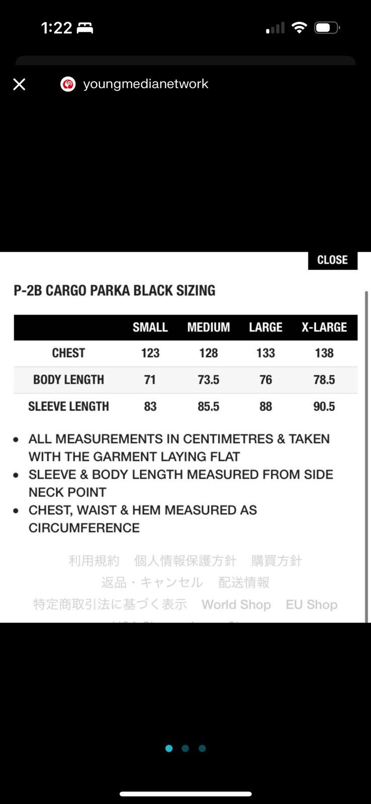 Palace Palace P-2B Cargo Parka Size US L / EU 52-54 / 3 - 7 Thumbnail