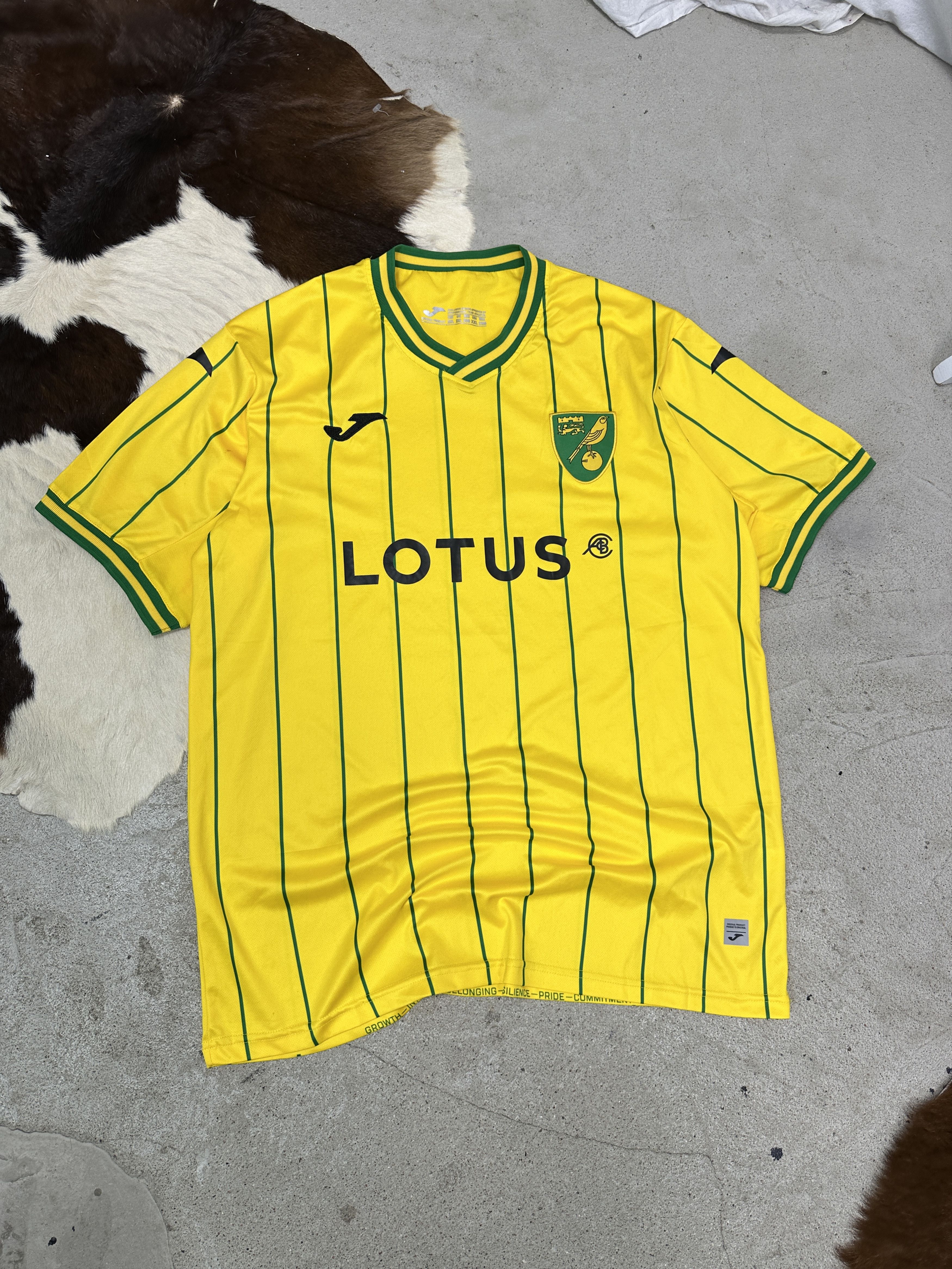 Vintage Vintage Sporty Joma Norwich City 22/23 Jersey Y2K Size US XXL / EU 58 / 5 - 1 Thumbnail