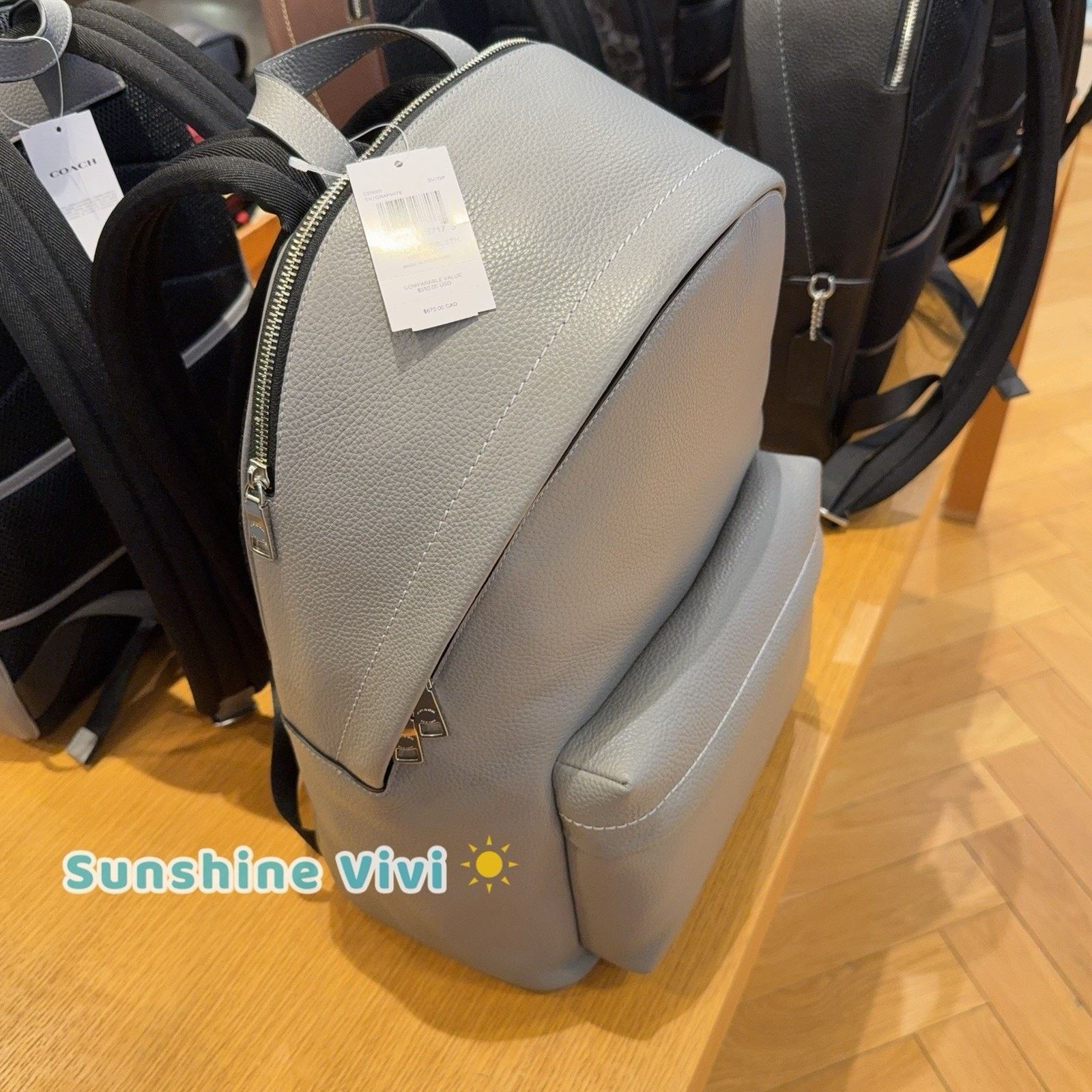 Coach NWT Coach Taylor Backpack In Leather CDX93 Silver/Graphite Size ONE SIZE - 5 Thumbnail