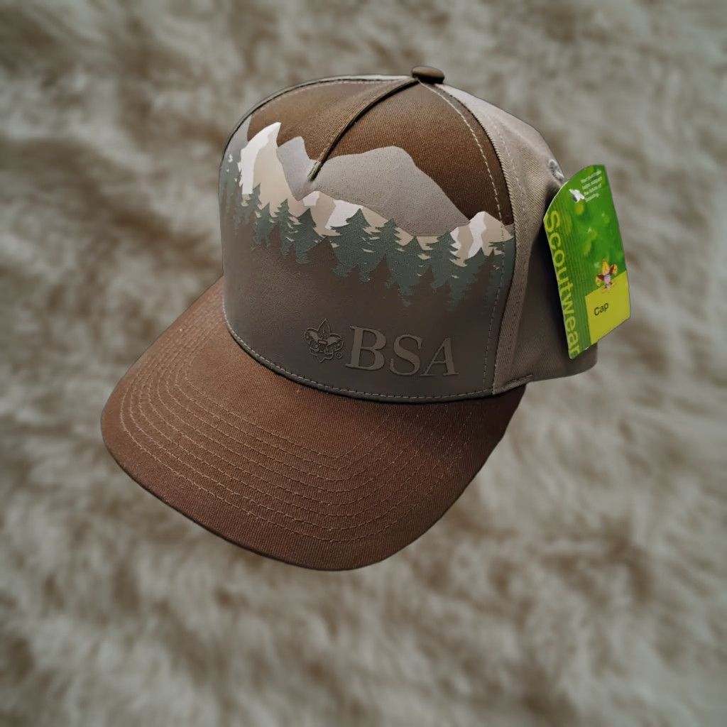 Vintage BSA Baseball Hat Cap Men One Size Adjustable Cotton Brown Youth ...