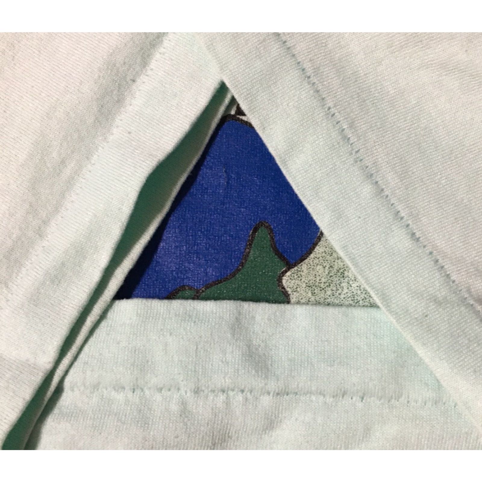Evergreen VINTAGE Washington Evergreen State Shirt XL USA 90s Grunge Nature Distressed Single Stitch Mens T-Shirt Green Size US XL / EU 56 / 4 - 3 Thumbnail