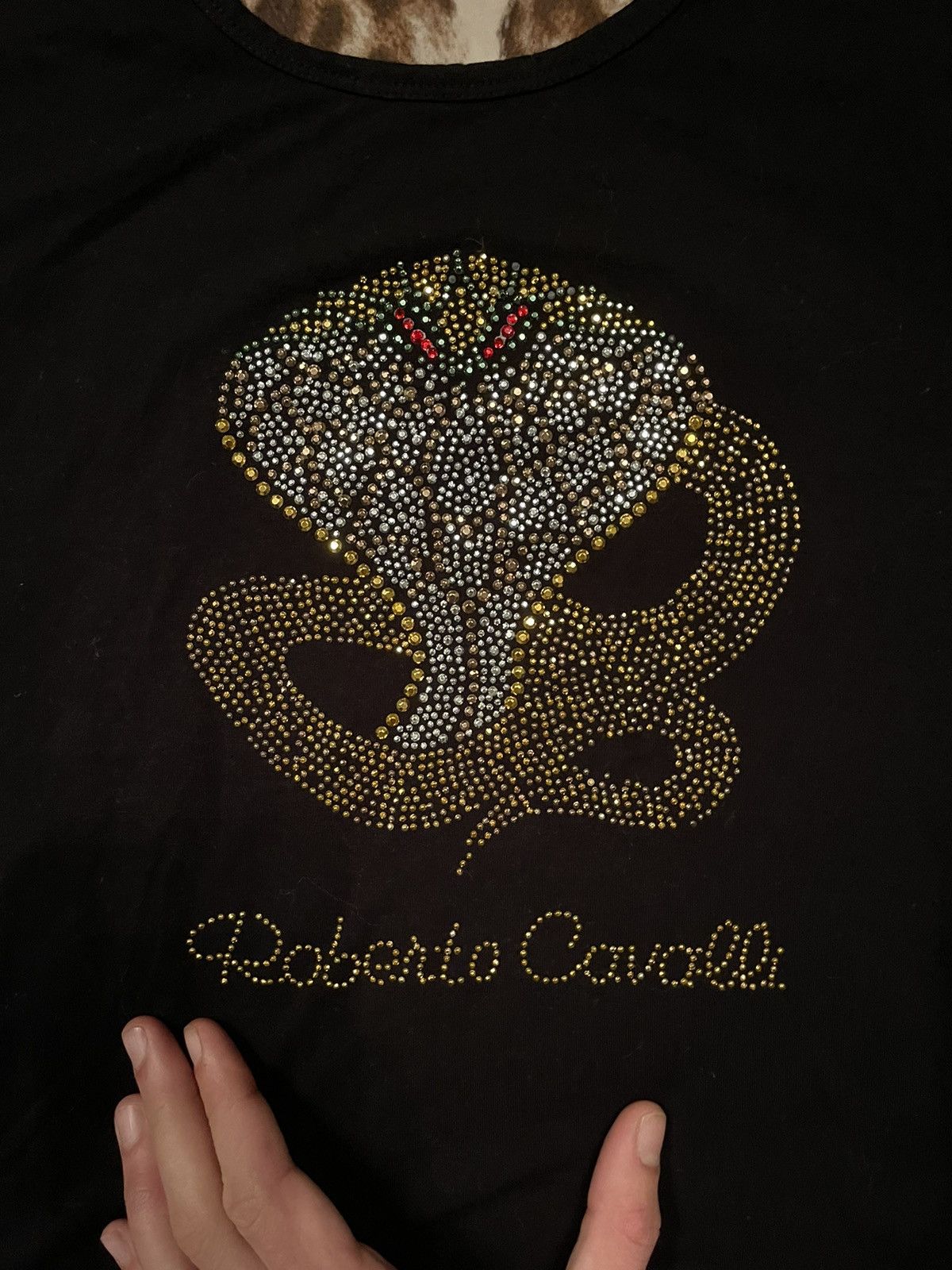 Just Cavalli × Roberto Cavalli × Vintage 🐍 Roberto Cavalli