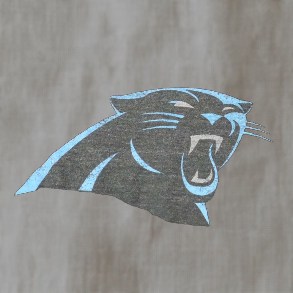 Old Navy Old Navy T-Shirt Shirt Adult Mens M Gray Carolina Panthers Football Tiger Graphic Solid Short Sleeve Tee Size M / US 6-8 / IT 42-44 - 1 Thumbnail