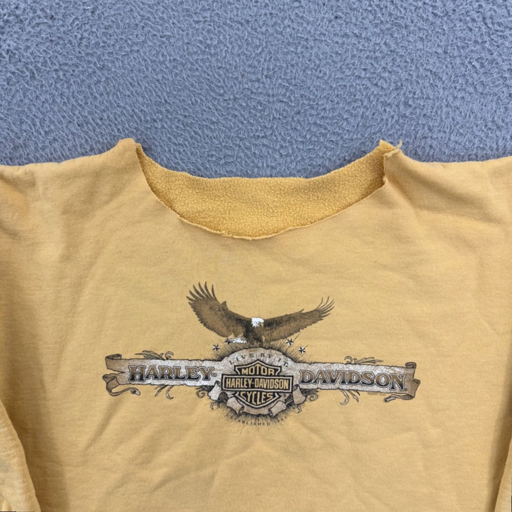 Harley Davidson VINTAGE Harley-Davidson Sweatshirt Mens Large Yellow Long Sleeve Graphic Print Eagle 80s 90s Biker USA Motorcycle Nature Retro Vintage Hoodie? Size US L / EU 52-54 / 3 - 3 Thumbnail