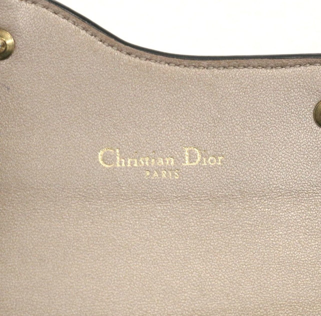 Dior Christian Dior Metallic Gold Grained Calfskin Saddle Lotus W Size ONE SIZE - 7 Thumbnail