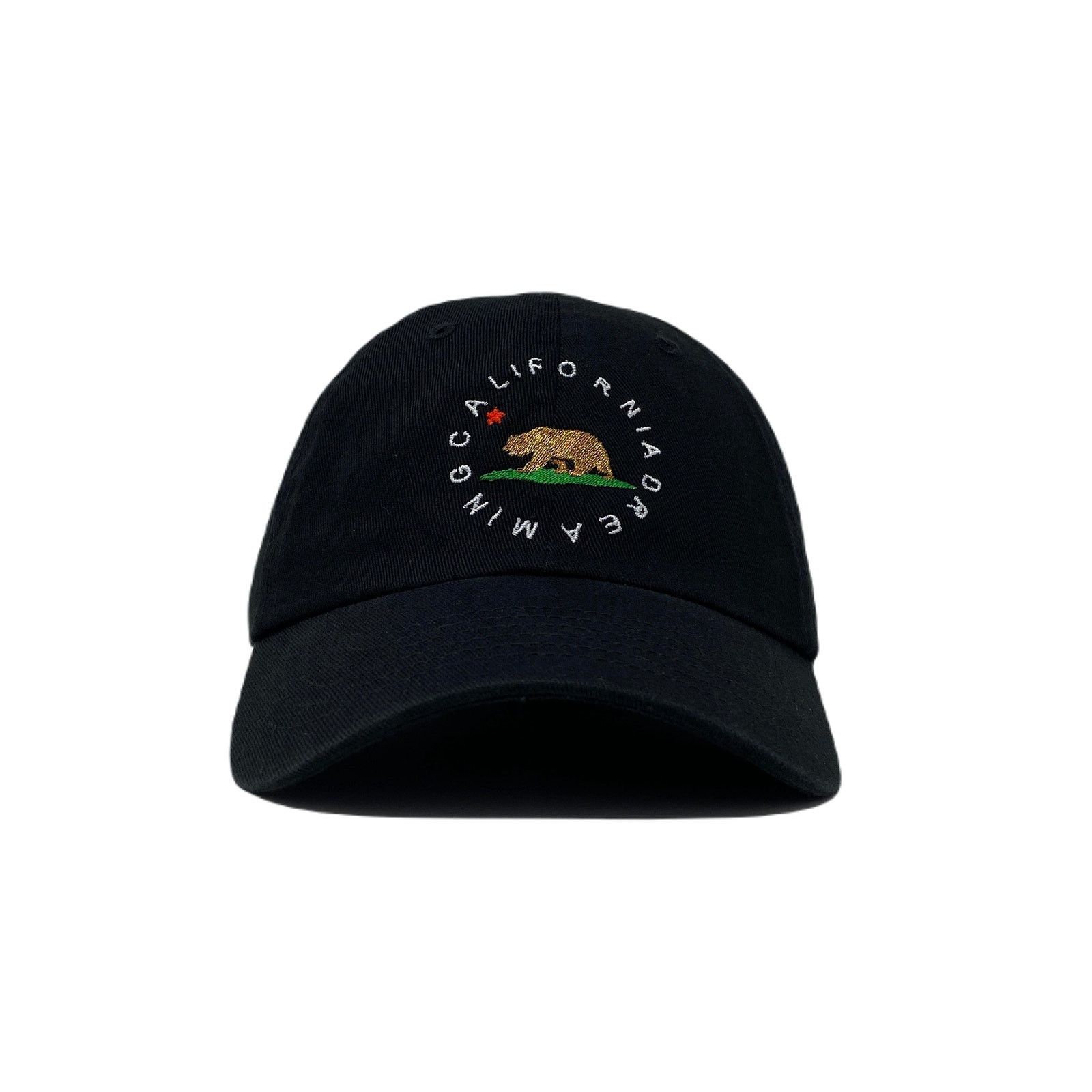 Other California Dreaming Dad Hat Size ONE SIZE - 2 Thumbnail