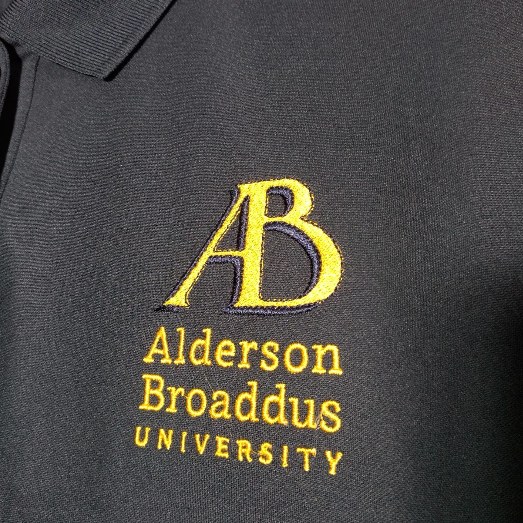Jansport Alderson Broaddus University Polo Shirt Womens L Blue Battlers Vansport Polo Shirt Womens L Blue Battlers West Virginia Size L / US 10 / IT 46 - 3 Thumbnail