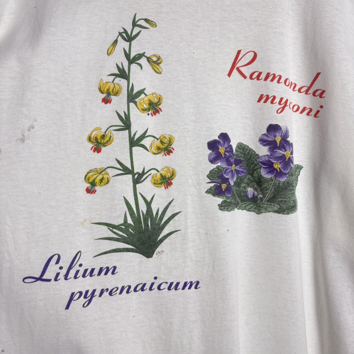 Vintage Vintage 90s Flowers Graphic T-Shirt / Distressed Size US XL / EU 56 / 4 - 2 Thumbnail