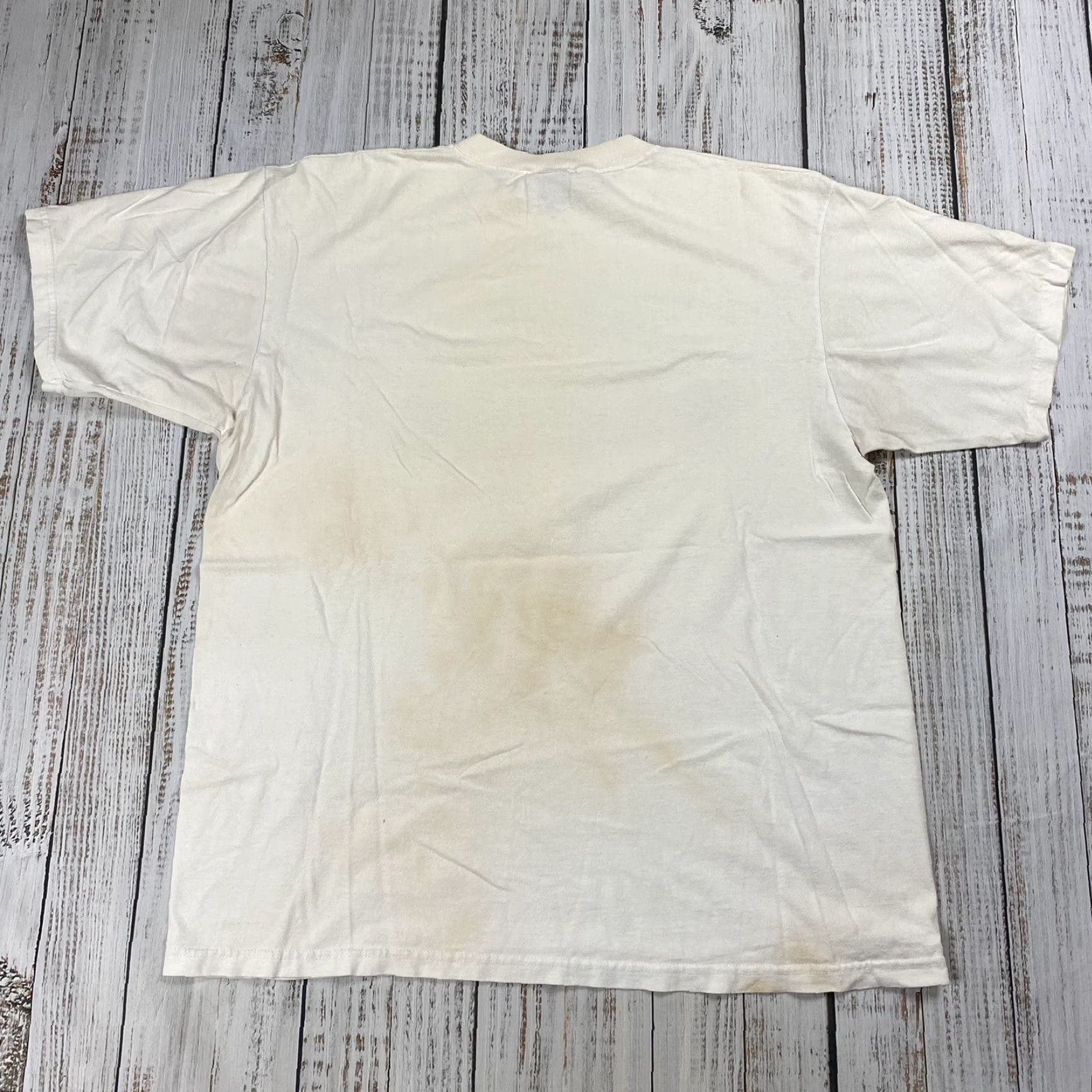 Vintage VINTAGE MV Sport Y2K Graphic Tee Short Sleeve 2XL White Grunge University at Albany 2000s Unisex Size US XXL / EU 58 / 5 - 6 Thumbnail