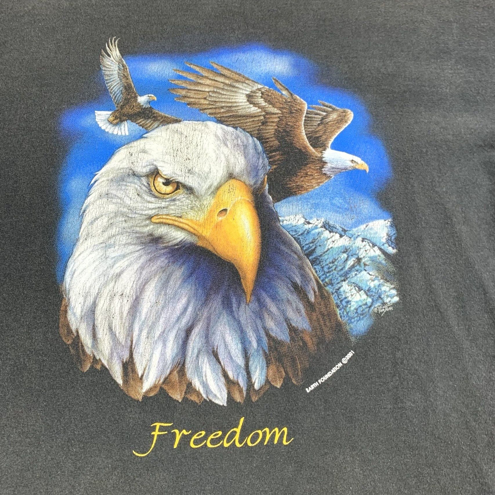Vintage VINTAGE Bald Eagle Shirt Adult Medium Black USA 90s Nature Animals Freedom Y2K Faded Men Shirt M Black/Grey? Size US M / EU 48-50 / 2 - 2 Thumbnail