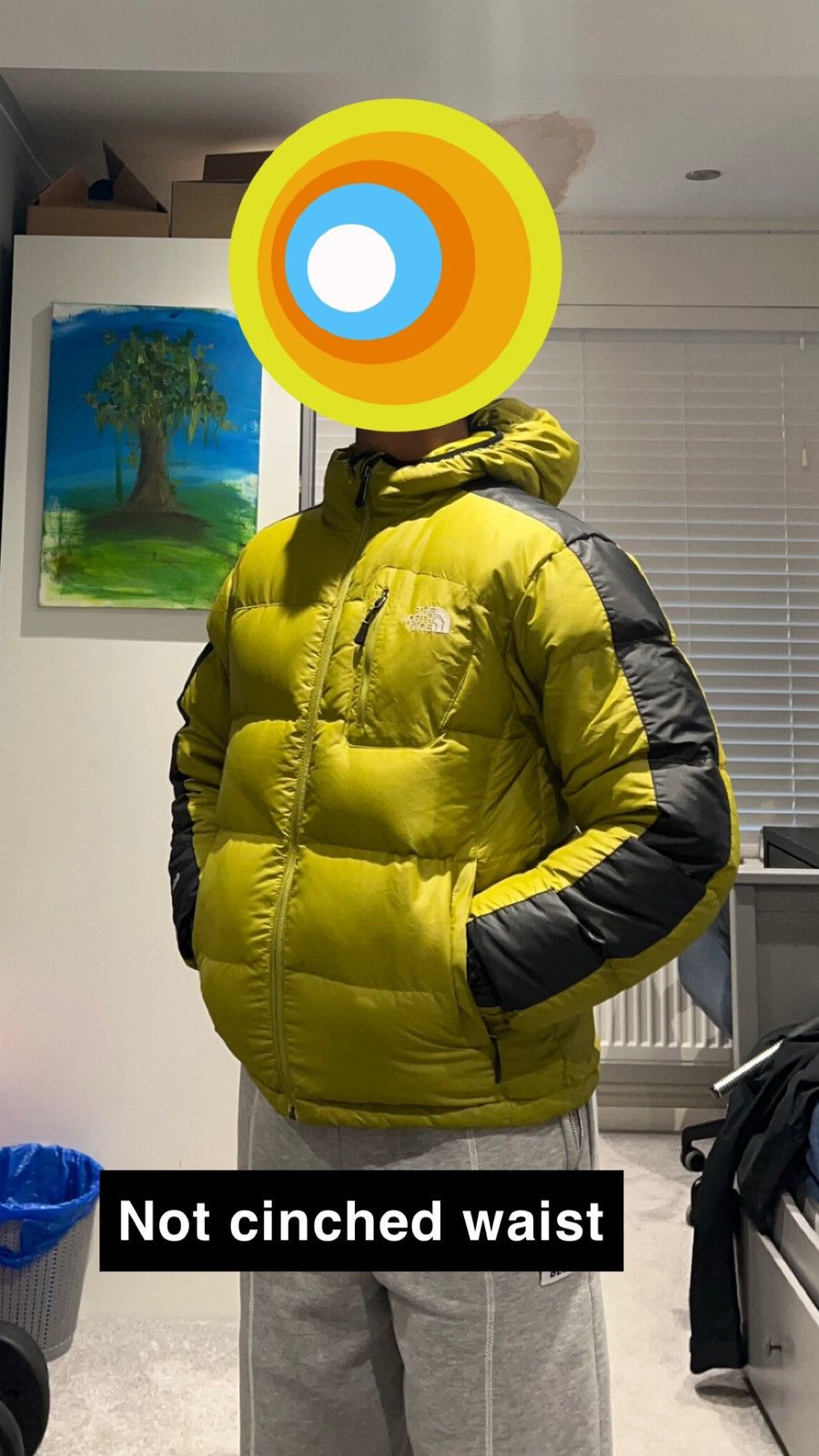 The North Face Vintage 00's North Face 700 Puffer Jacket Size US S / EU 44-46 / 1 - 3 Thumbnail