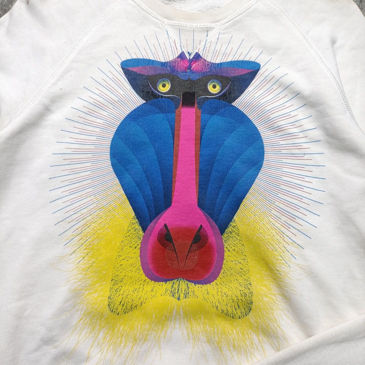 Dsquared2 Dsqured2 Baboon Print Sweatshirt Size US M / EU 48-50 / 2 - 4 Thumbnail
