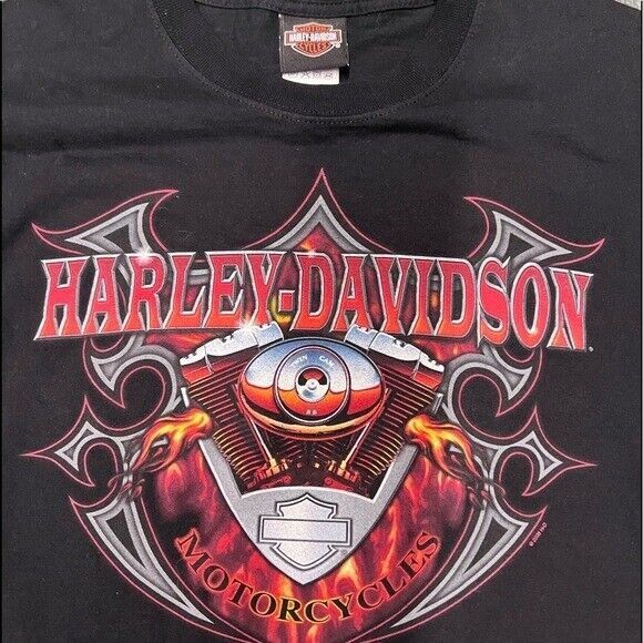 Harley Davidson Vintage 2000s Harley Davidson Twin Cam 88 Eagle Pikes