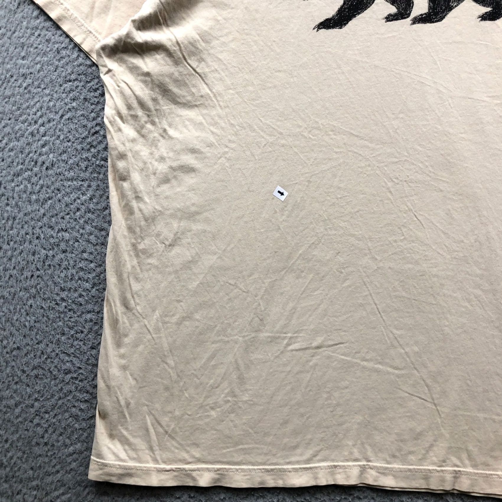 Patagonia Patagonia T-Shirt Mens XL Tan Fitz Roy Bear Logo Organic Cotton Slim Fit Crew Neck Short Sleeve Graphic Logo Vintage: No Size US XL / EU 56 / 4 - 4 Thumbnail