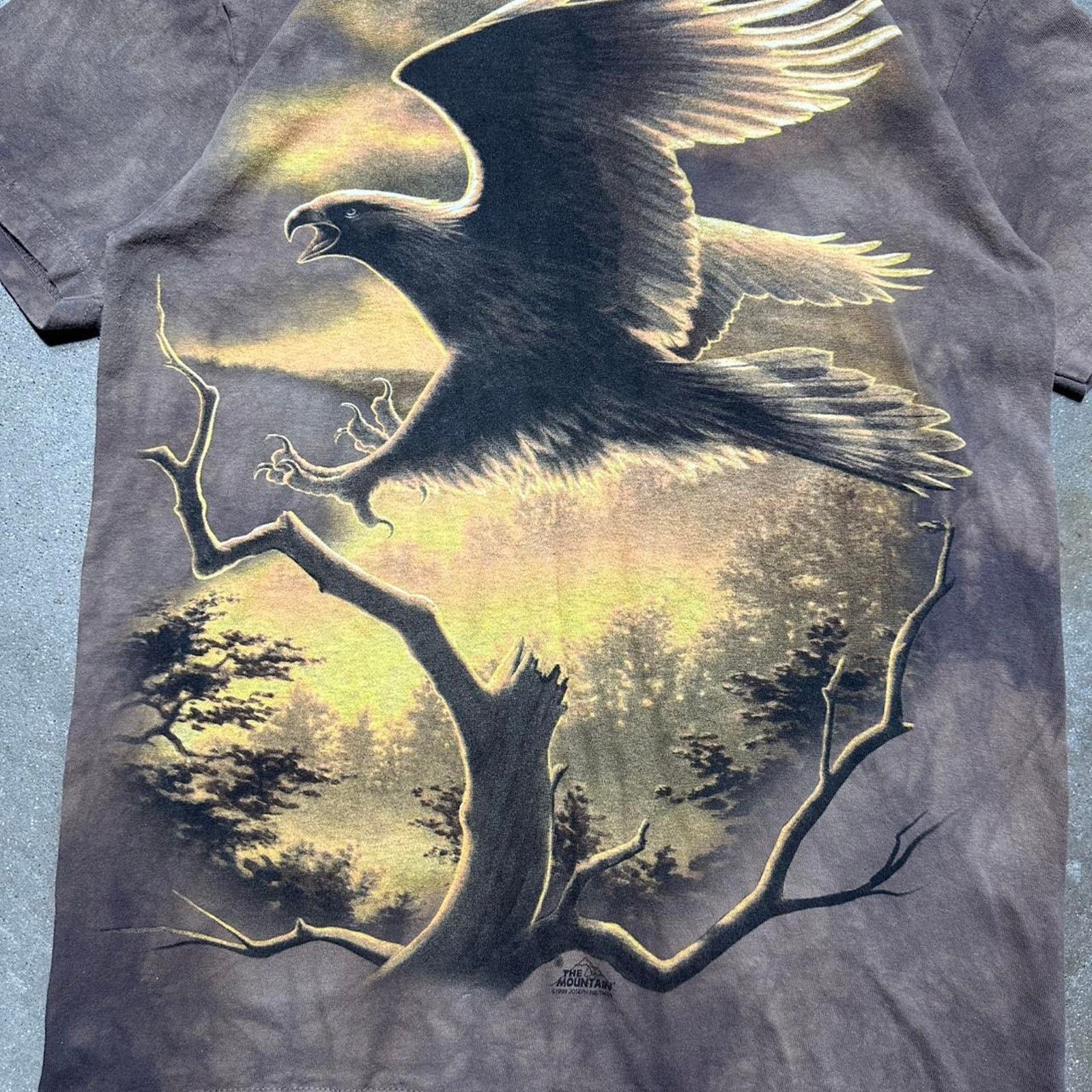The Mountain The Mountain Eagle Tie Dye Tee Nature Animal Print Shirt Size US M / EU 48-50 / 2 - 2 Thumbnail