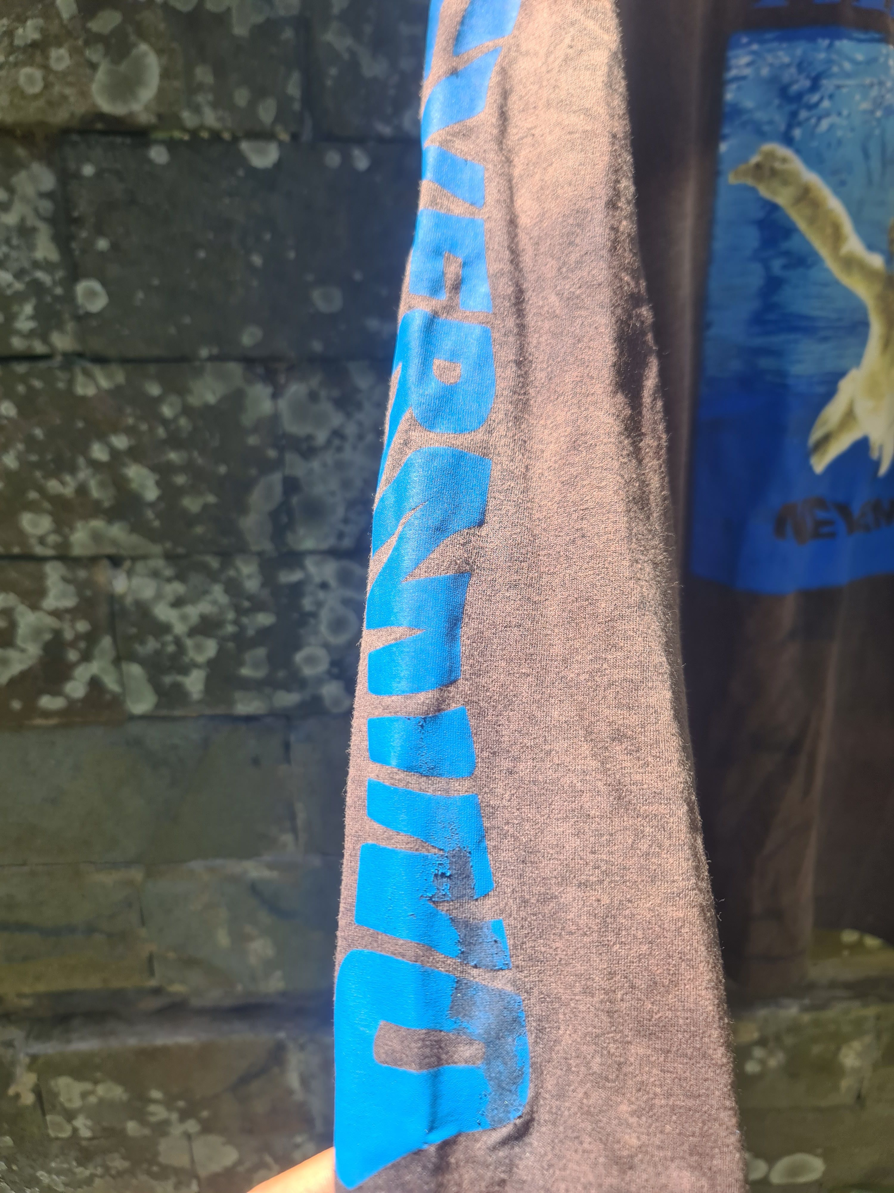 Vintage boot Nirvana nevermind long sleeve grunge
