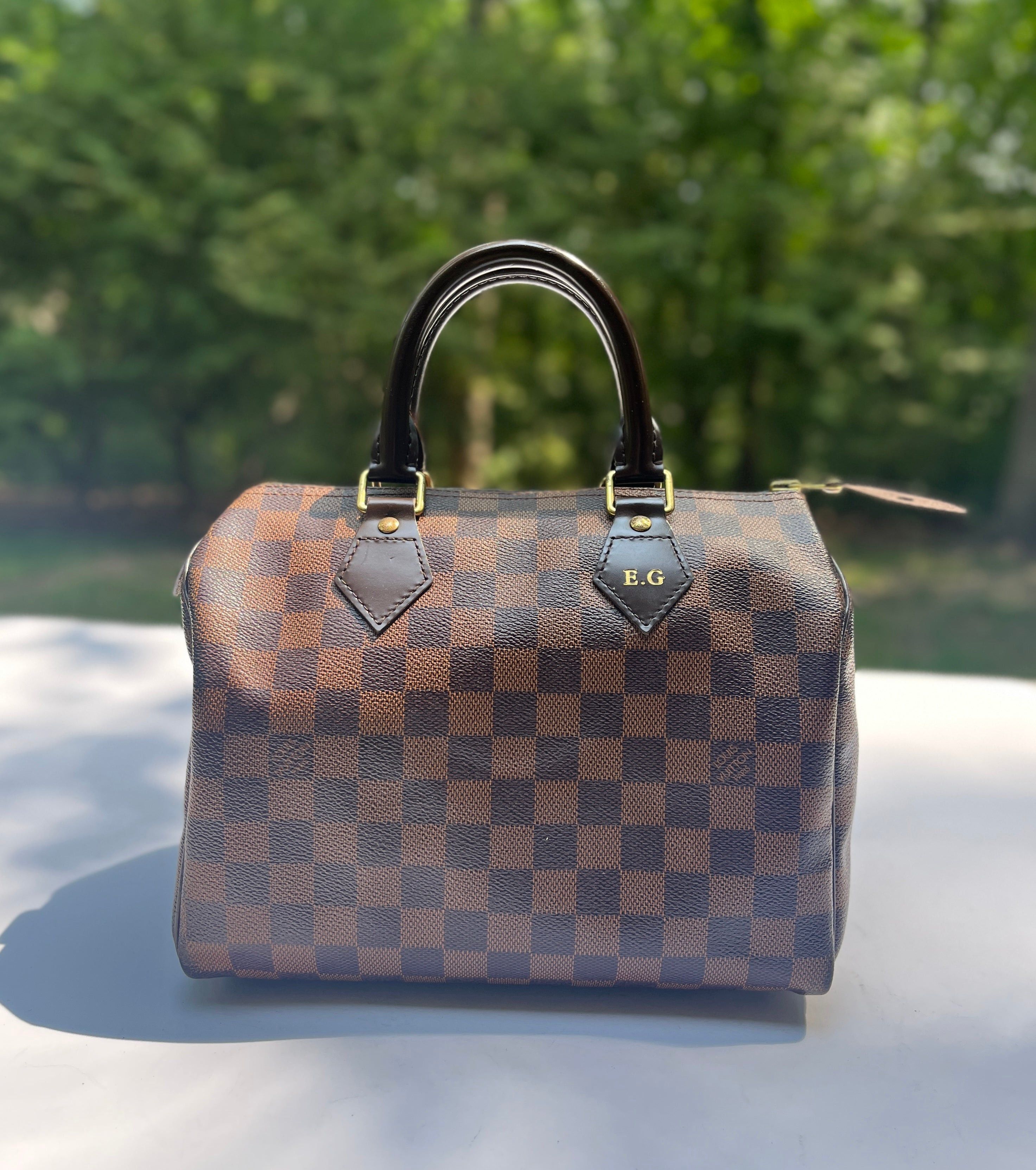 Louis Vuitton Damier Ebene Speedy 25 Satchel Handbag
