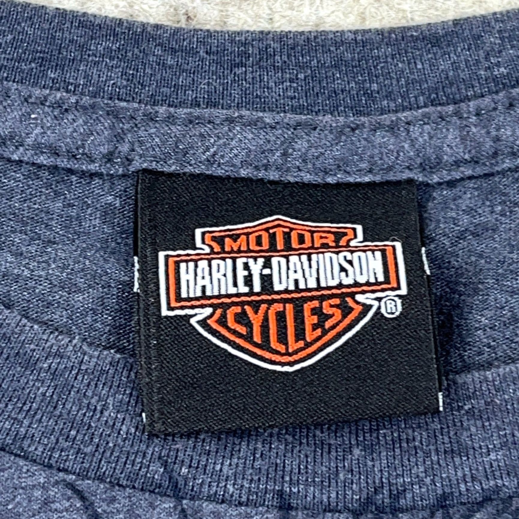 Harley Davidson Harley-Davidson Shirt Men XL Gray Tee Winged Skull Fear No One Retro Biker AOP Size US XL / EU 56 / 4 - 7 Thumbnail