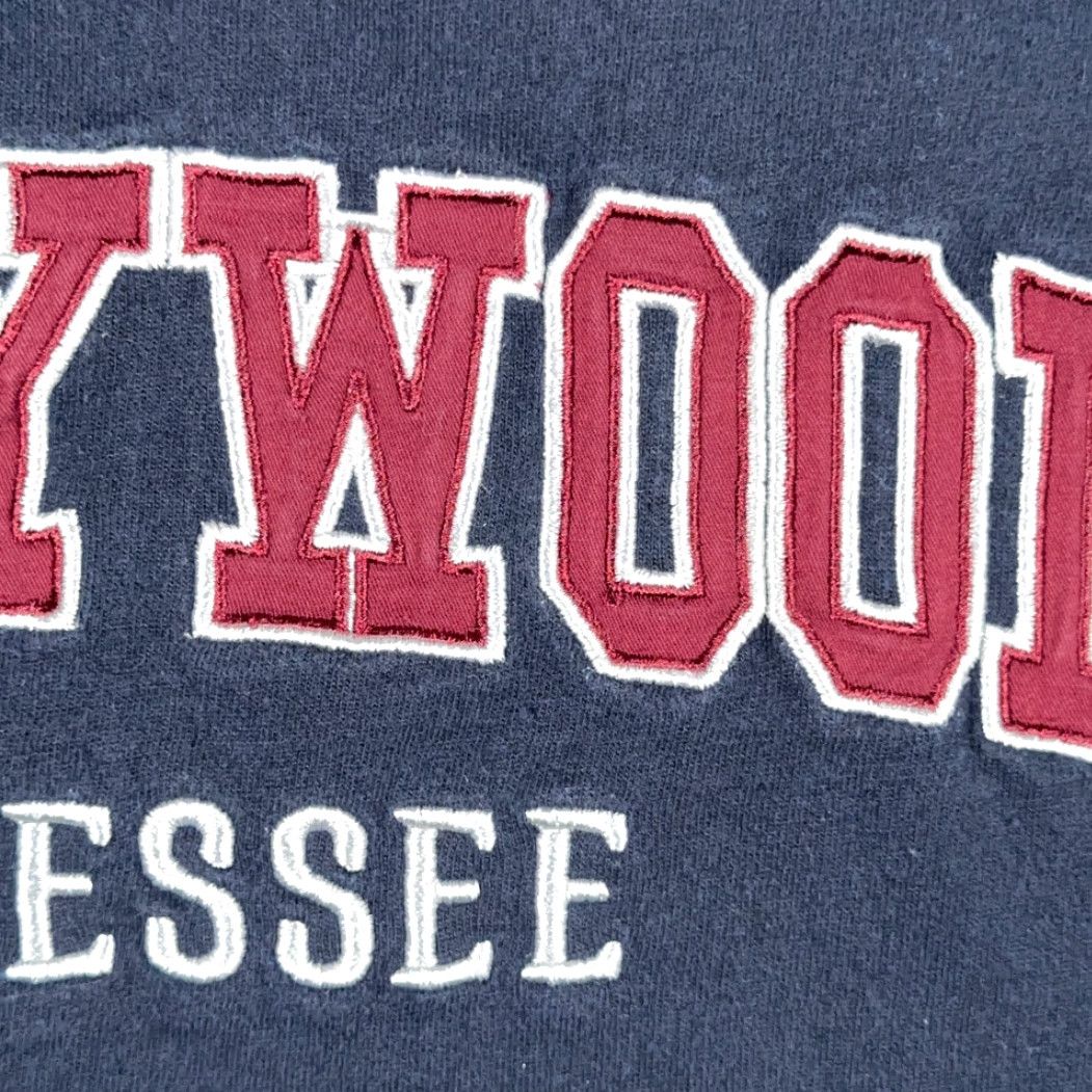 Vintage Dollywood Sweatshirt Dollywood Blue Sweater Men Medium Crew Neck Long Sleeve Pullover Cotton Blend Embroidered Logo Tennessee 90s Fashion Size US M / EU 48-50 / 2 - 4 Thumbnail