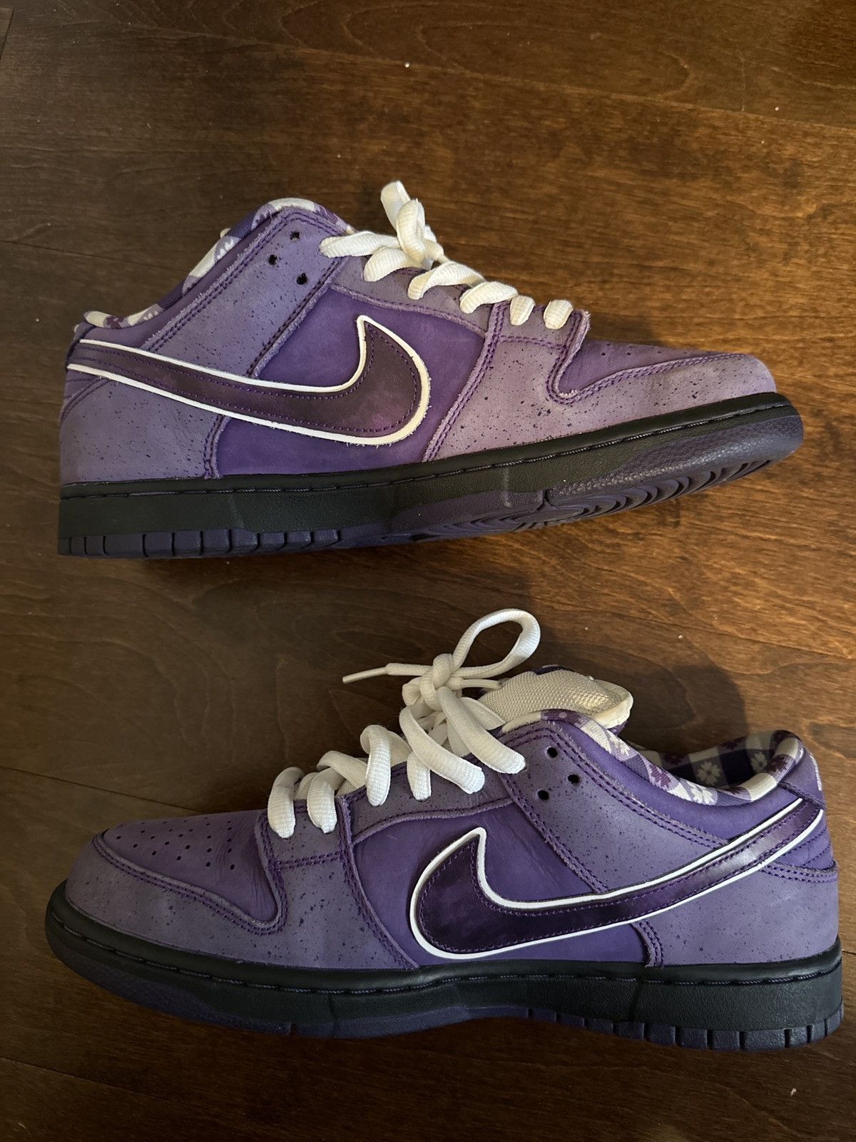 where to buy purple lobster sb