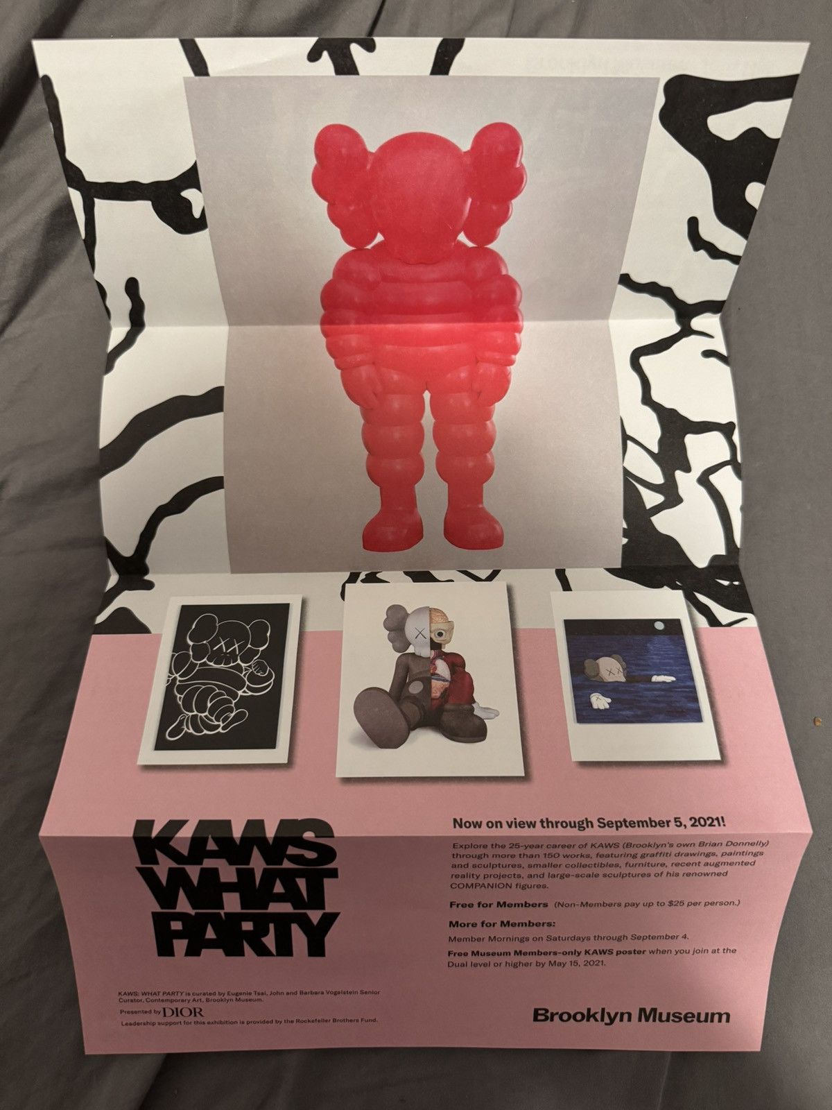 Kaws Kaws what party poster Size ONE SIZE - 2 Thumbnail
