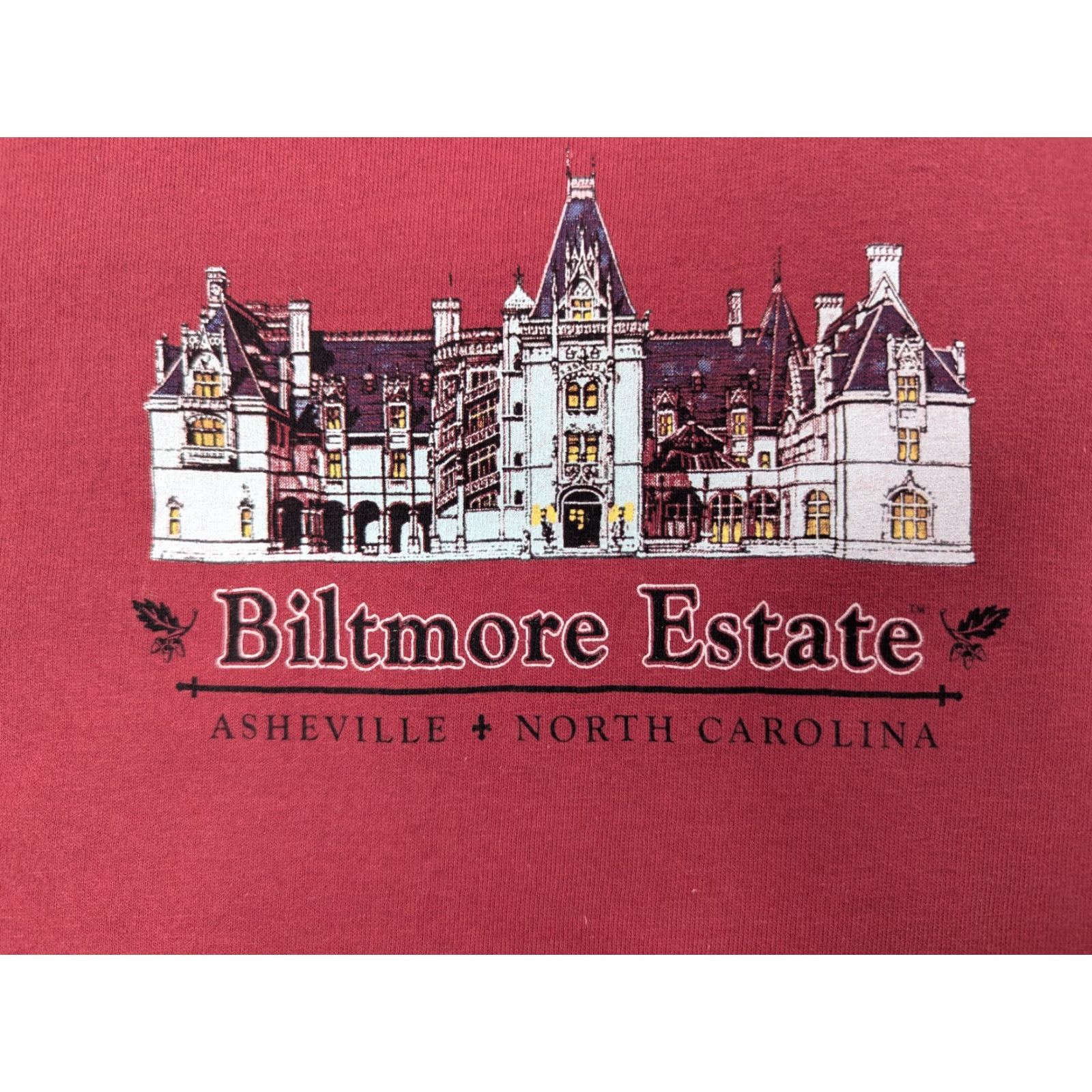 Gildan VINTAGE Biltmore Estate Asheville Red Shirt Adult Large North Carolina Gildan Ultra Cotton T-Shirt Mens Size US L / EU 52-54 / 3 - 2 Thumbnail